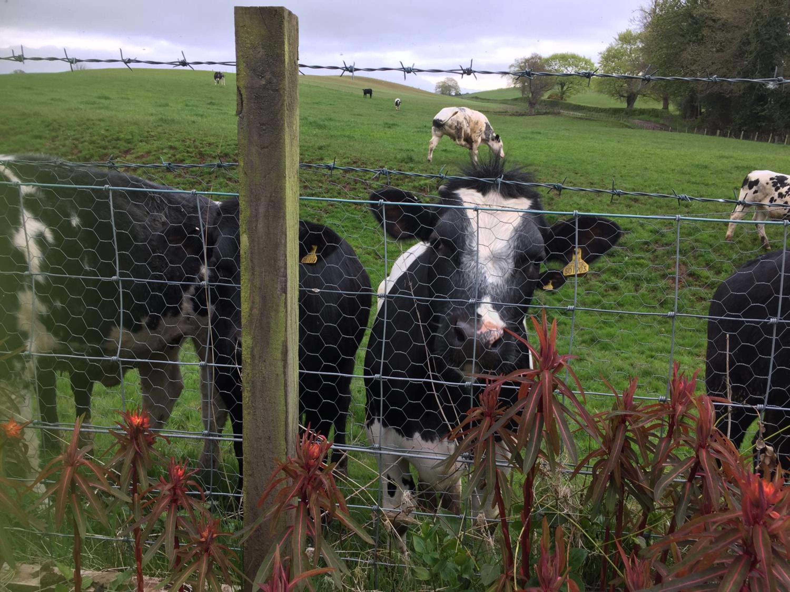 Retreat at The Knowe Auchincruive Estate
