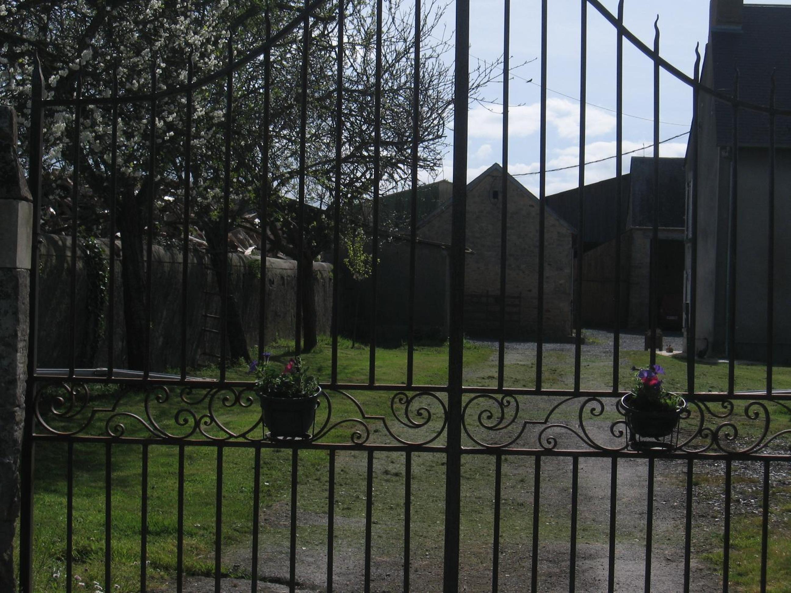 Photo 10