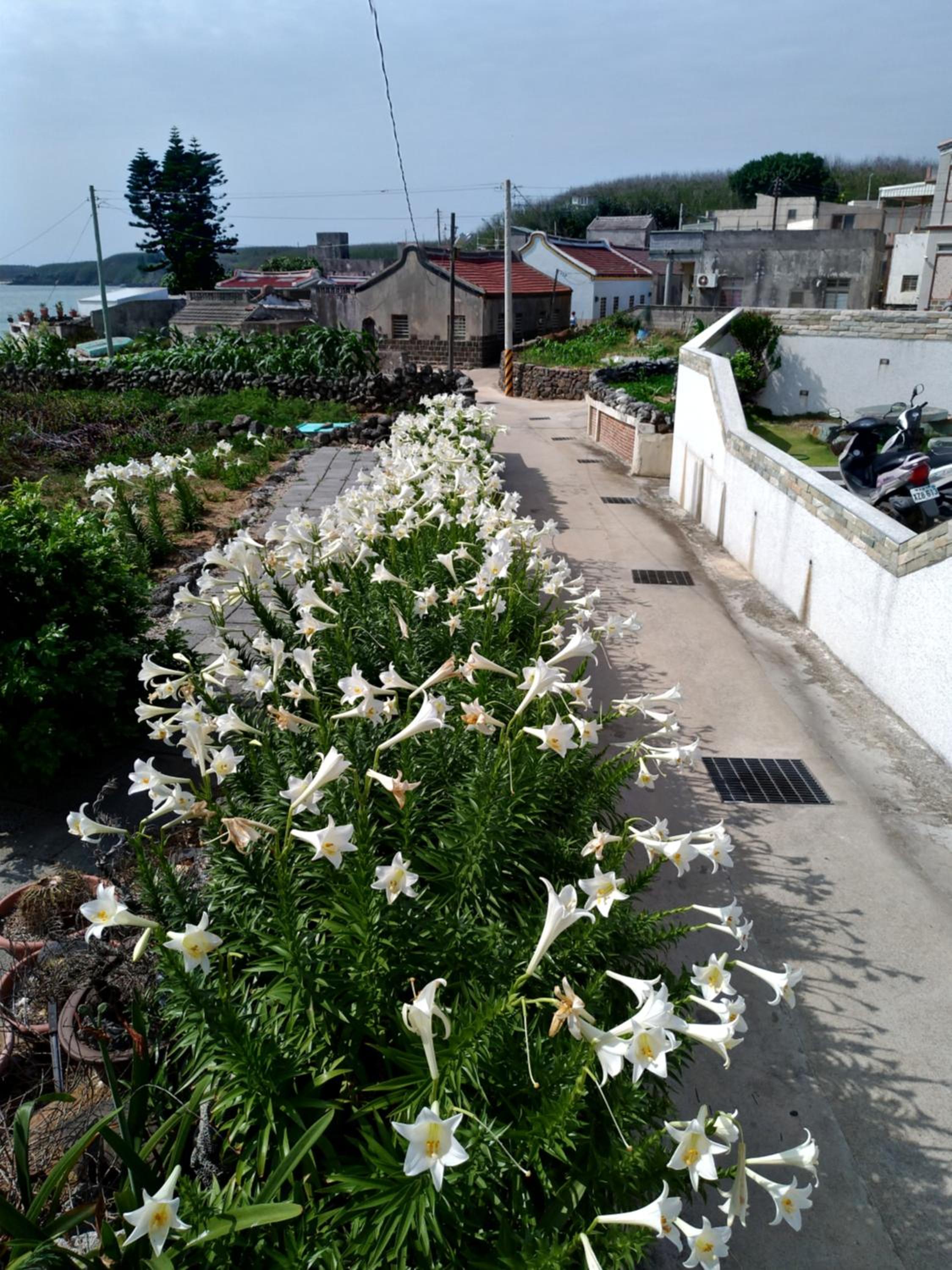 Photo 22