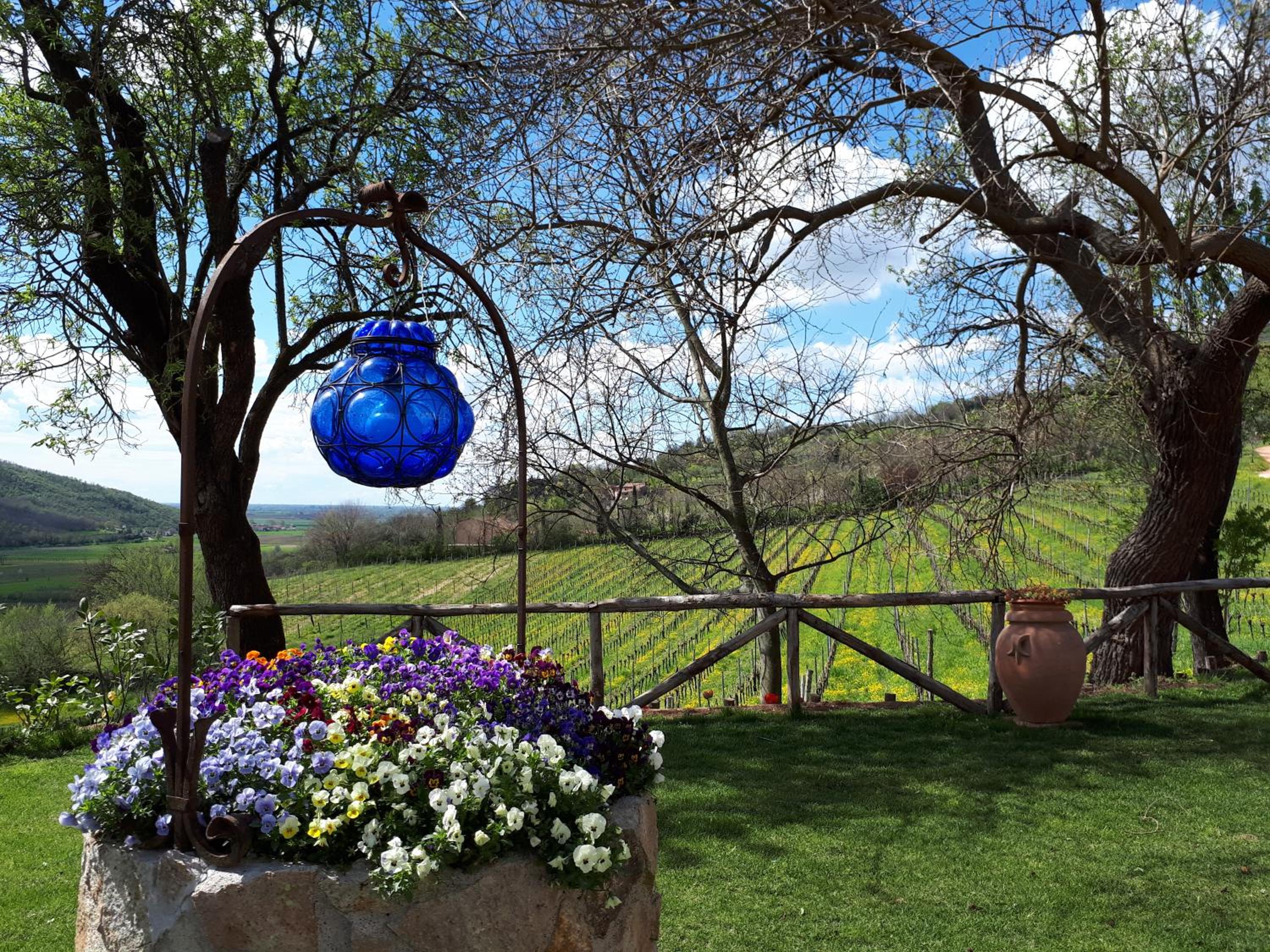 I grilli b&b view 4