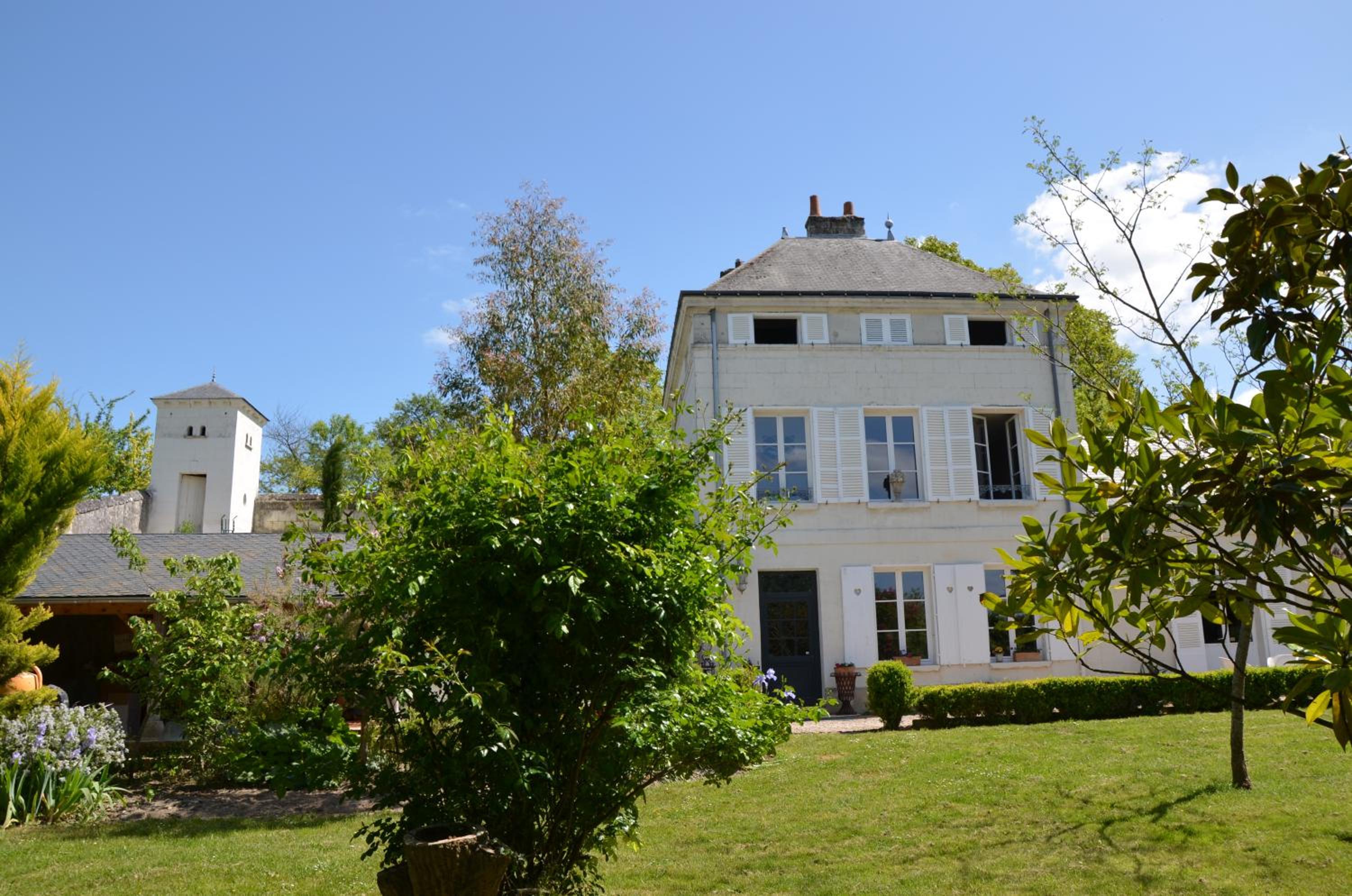 Photo 11