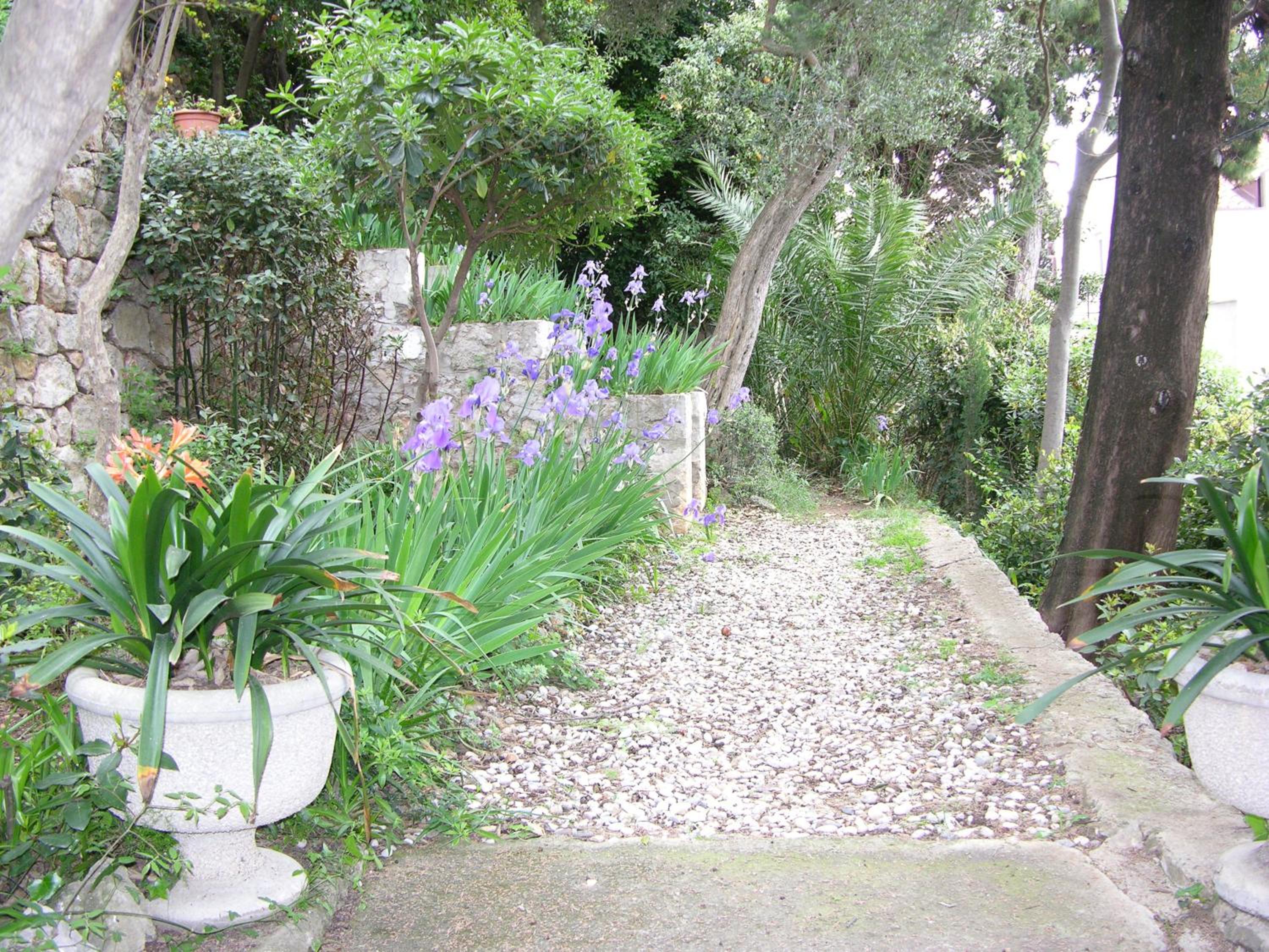 Villa Miomir