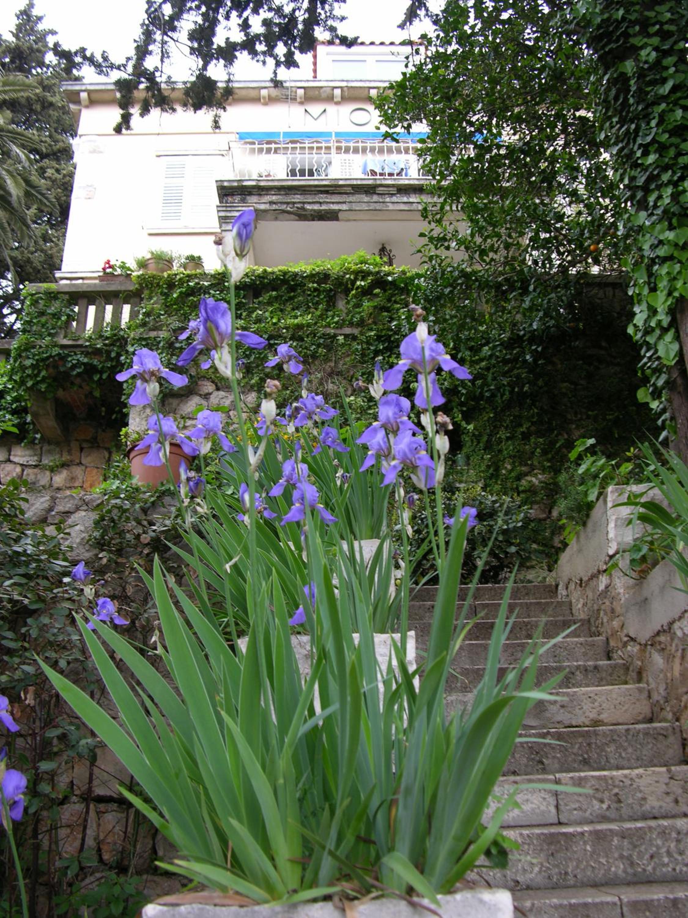 Villa Miomir