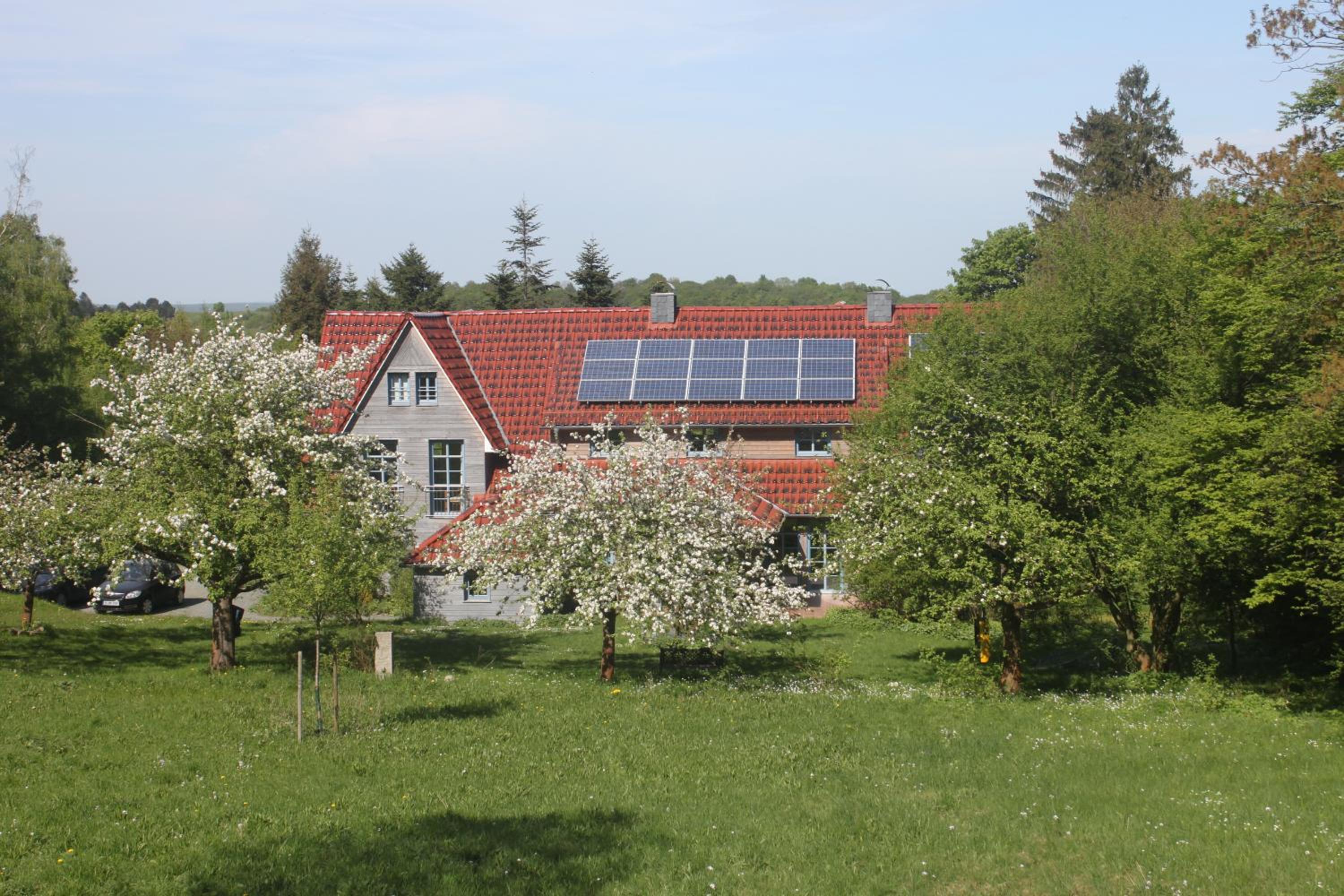 Photo 12