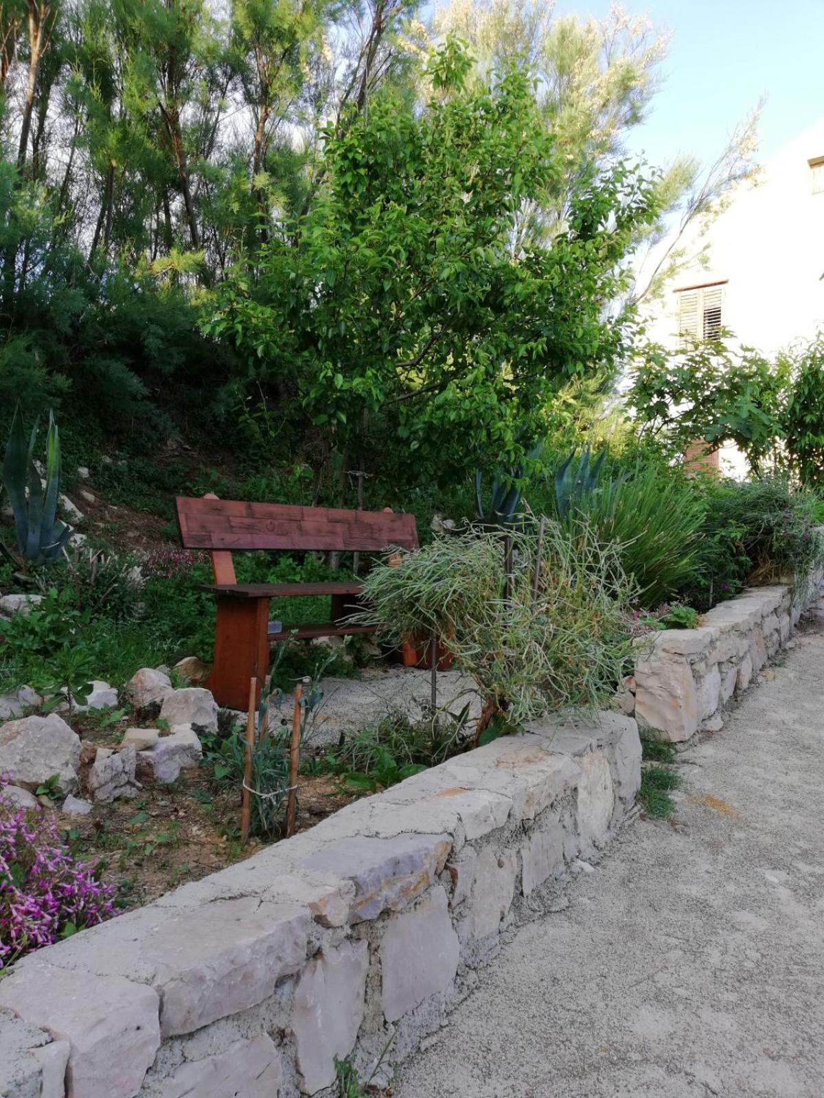 Photo 21