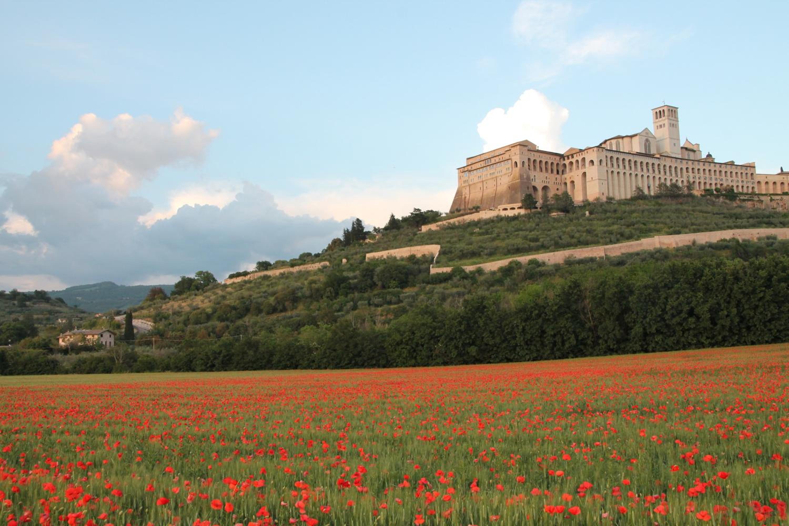 La Piaggia
