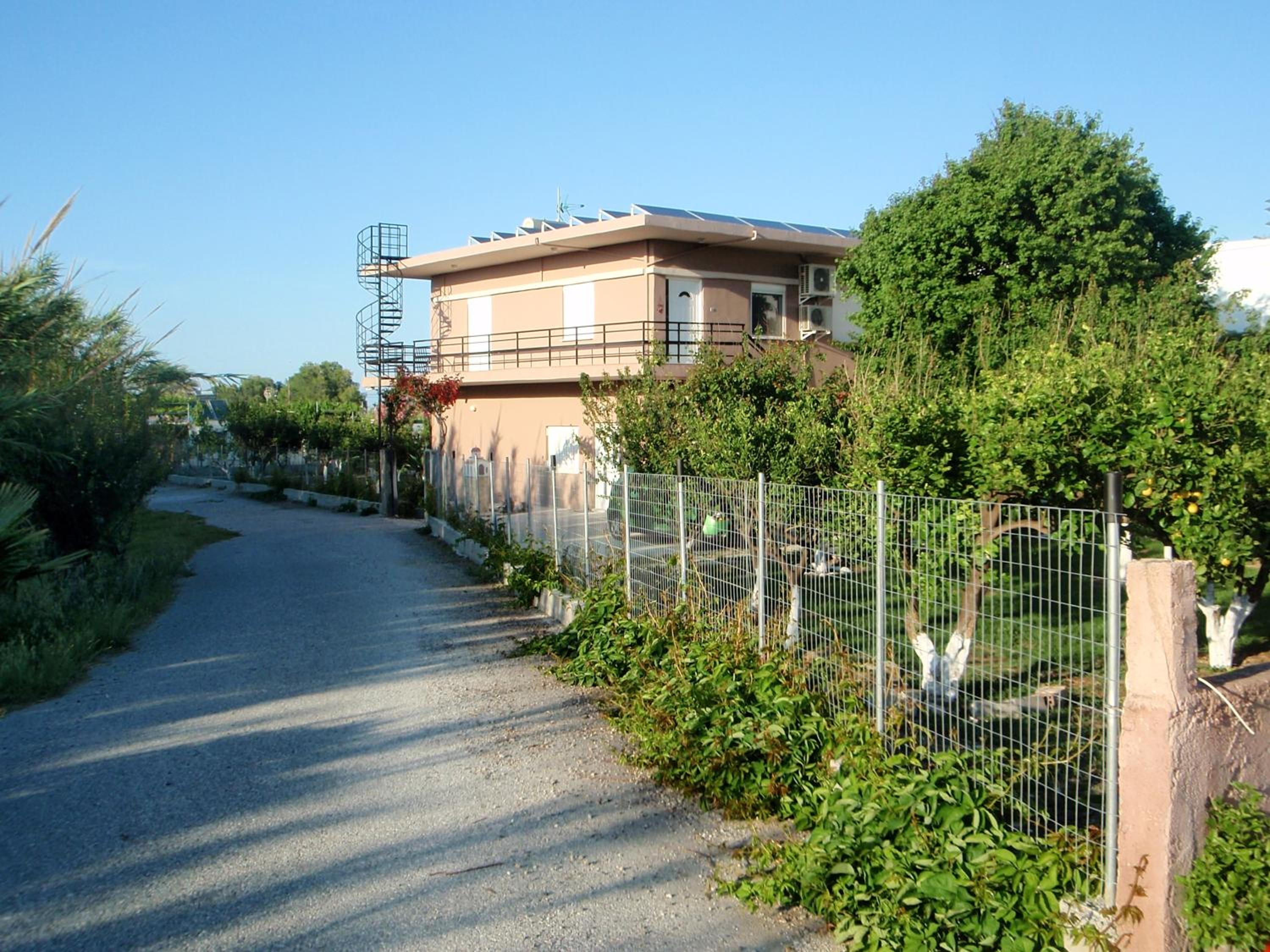 Photo 19