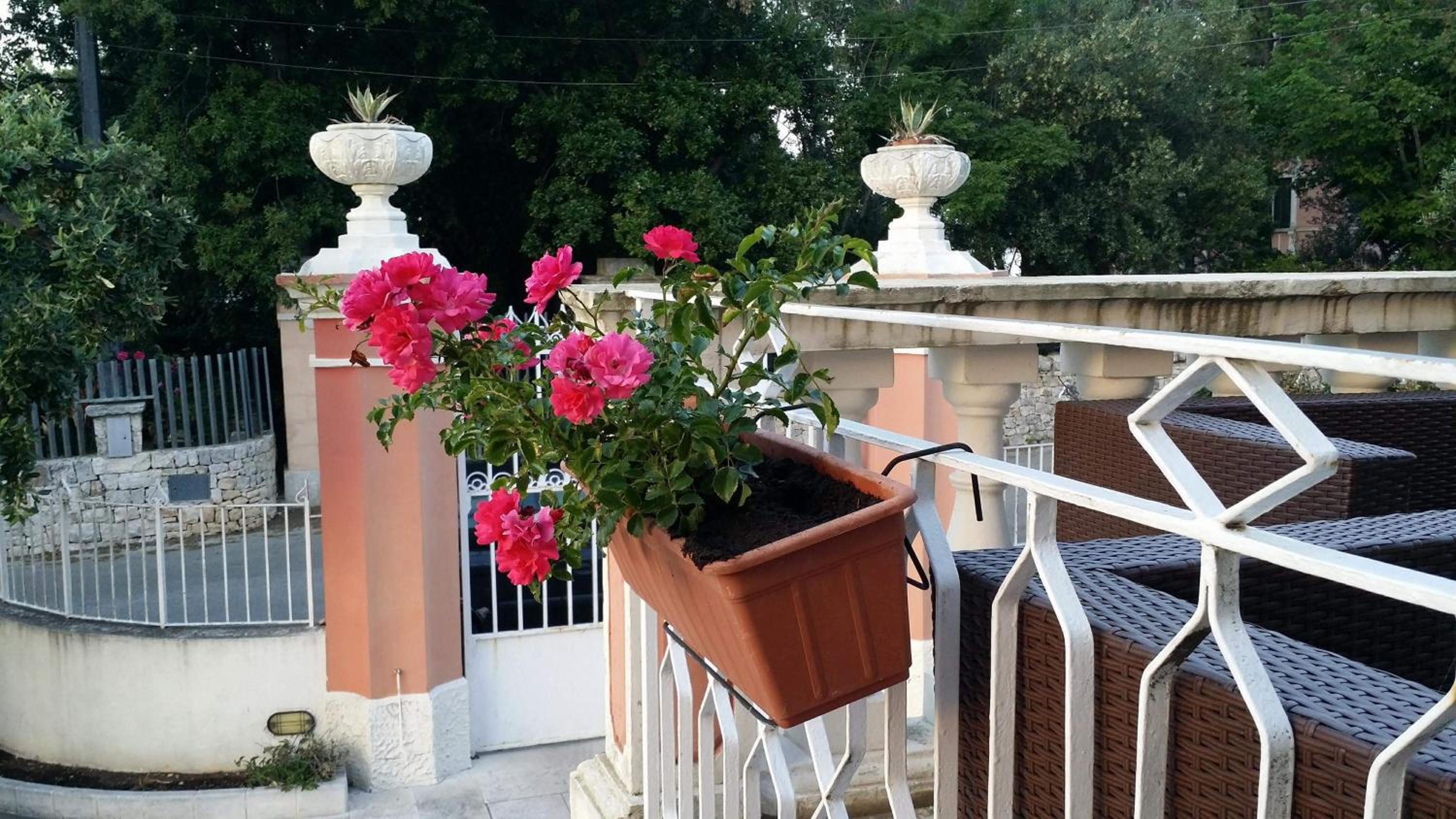 Villa Enea Monopoli view 3