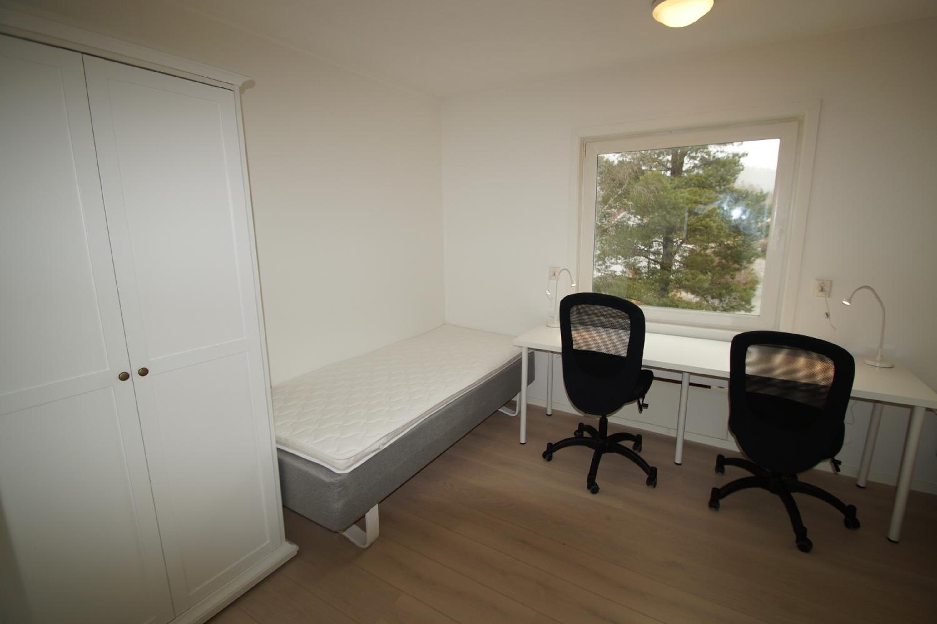 Photo 15