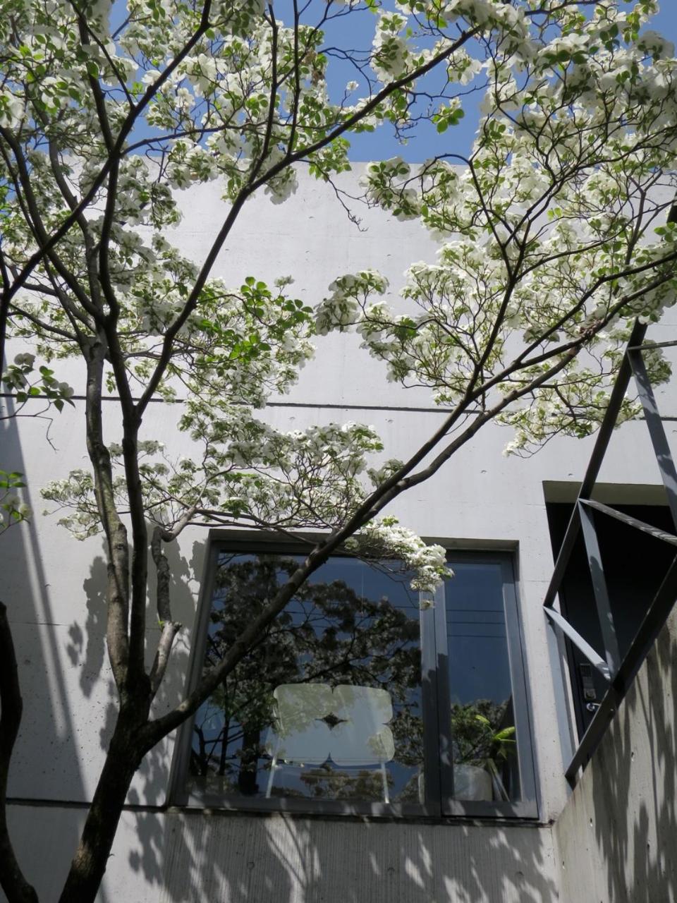 AH87 Osaka view 2