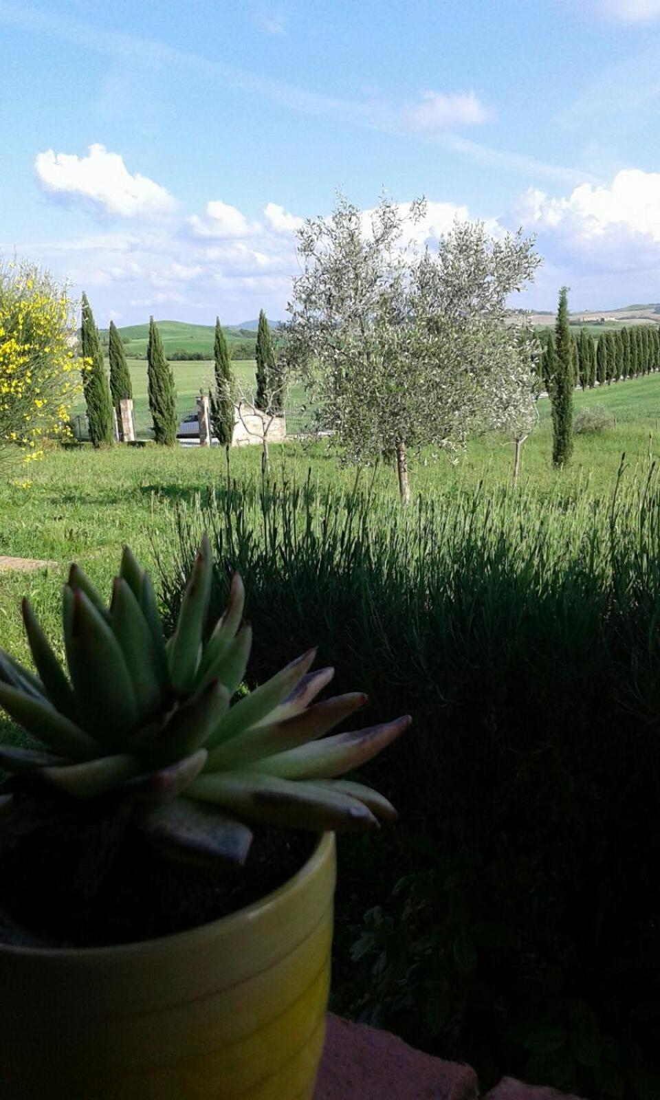 Casa Country House Girasole vakantie huis-WAKACJE HUIS