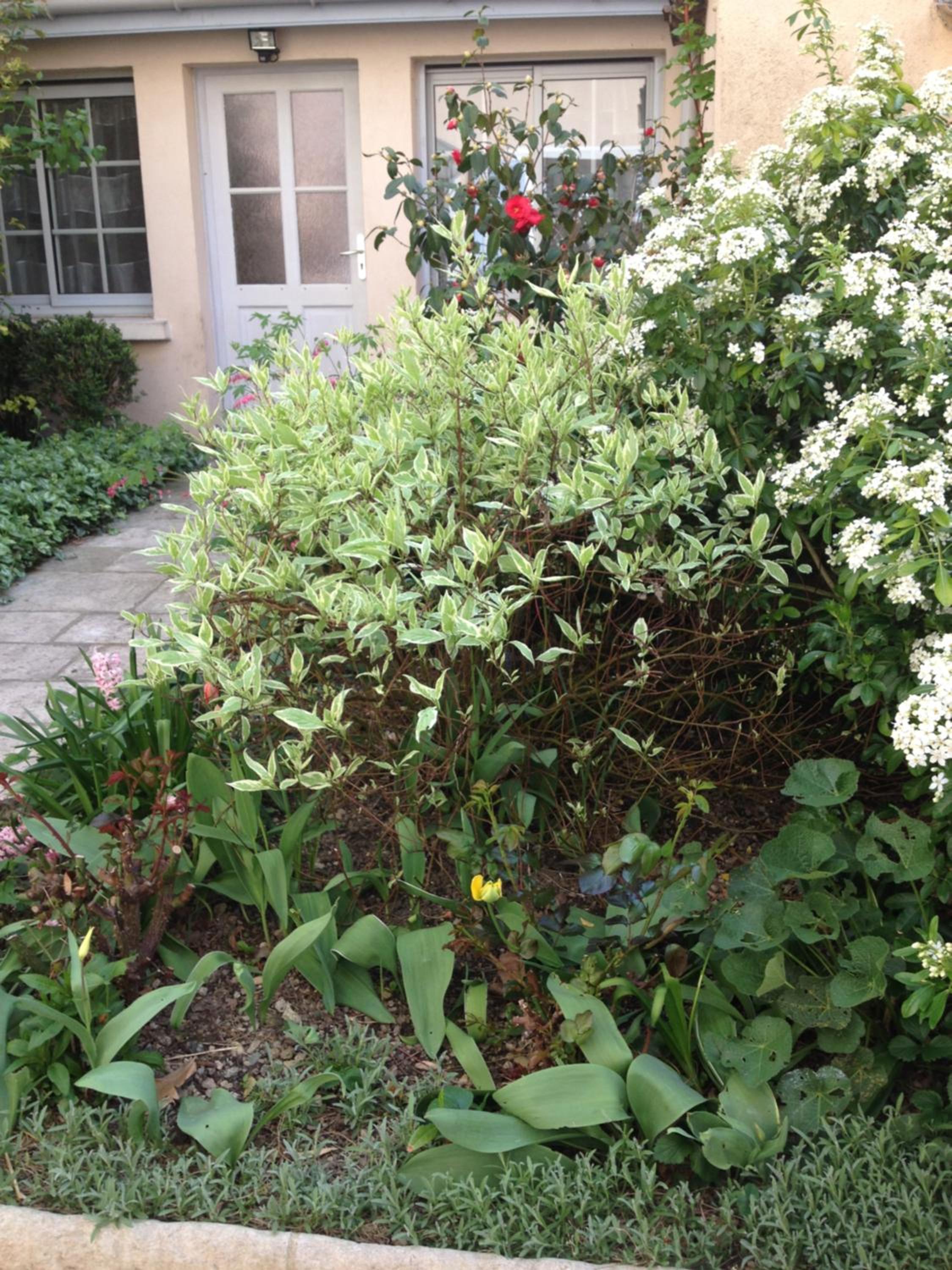 Photo 32