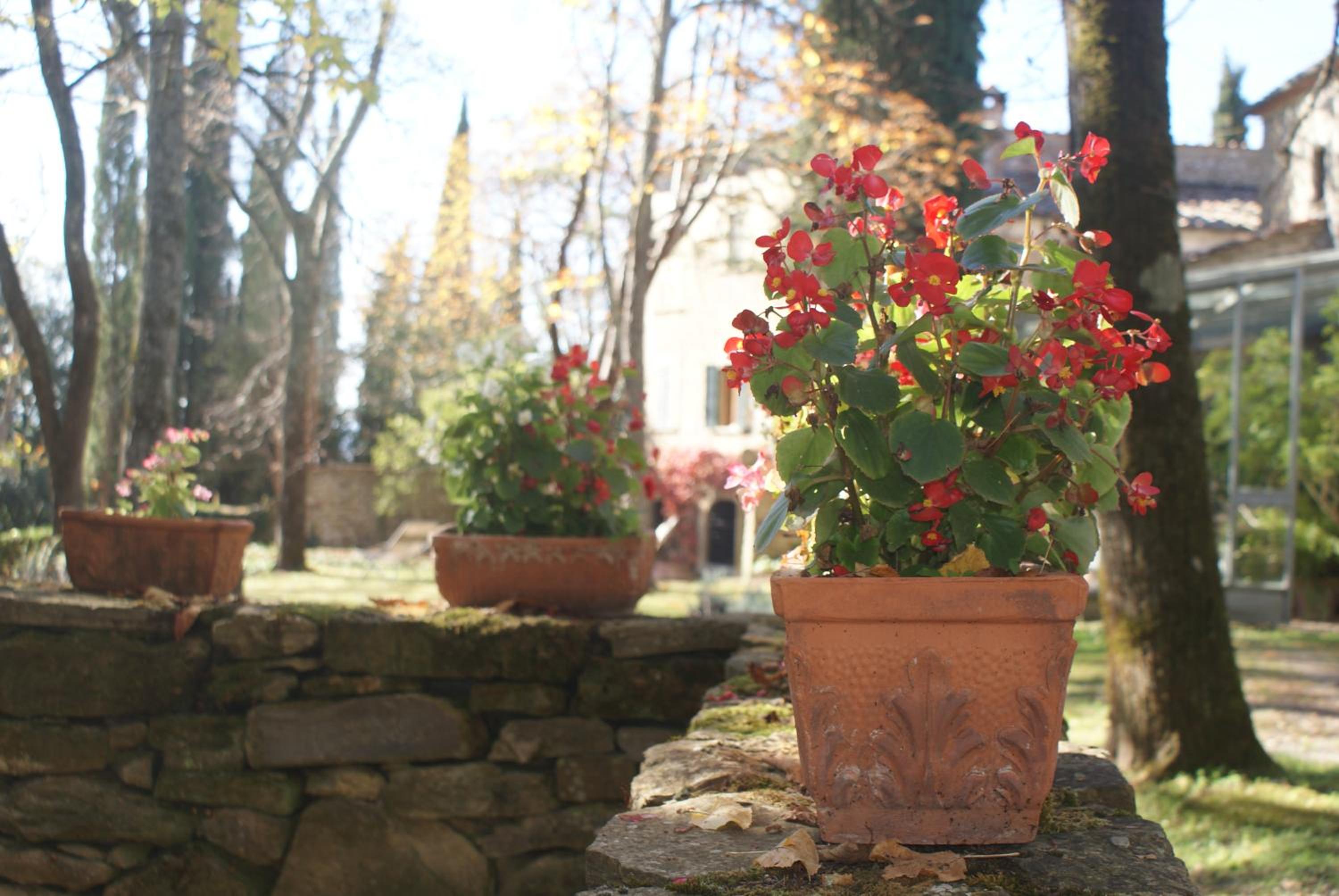 Relais La Torre