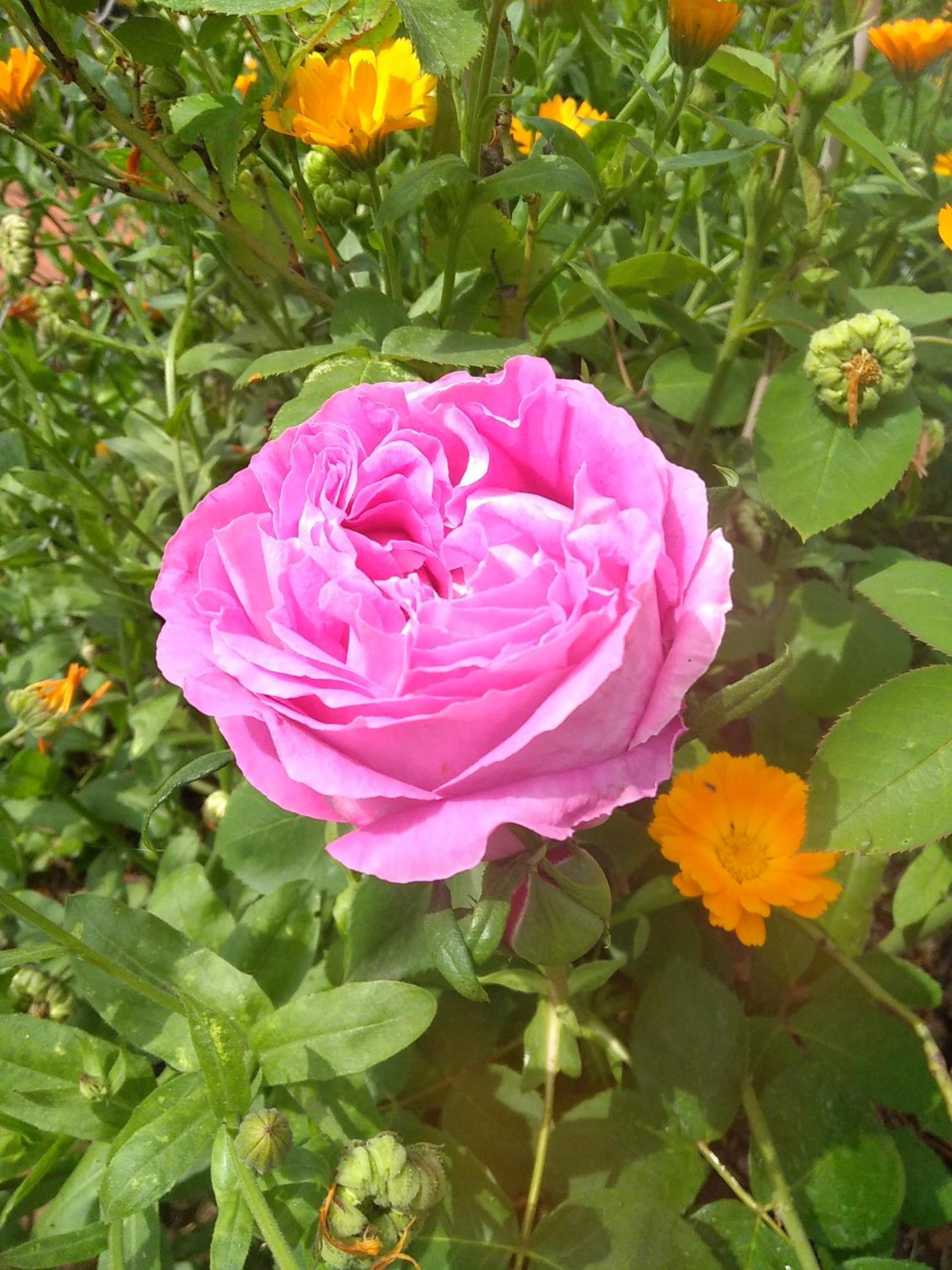 Photo 41
