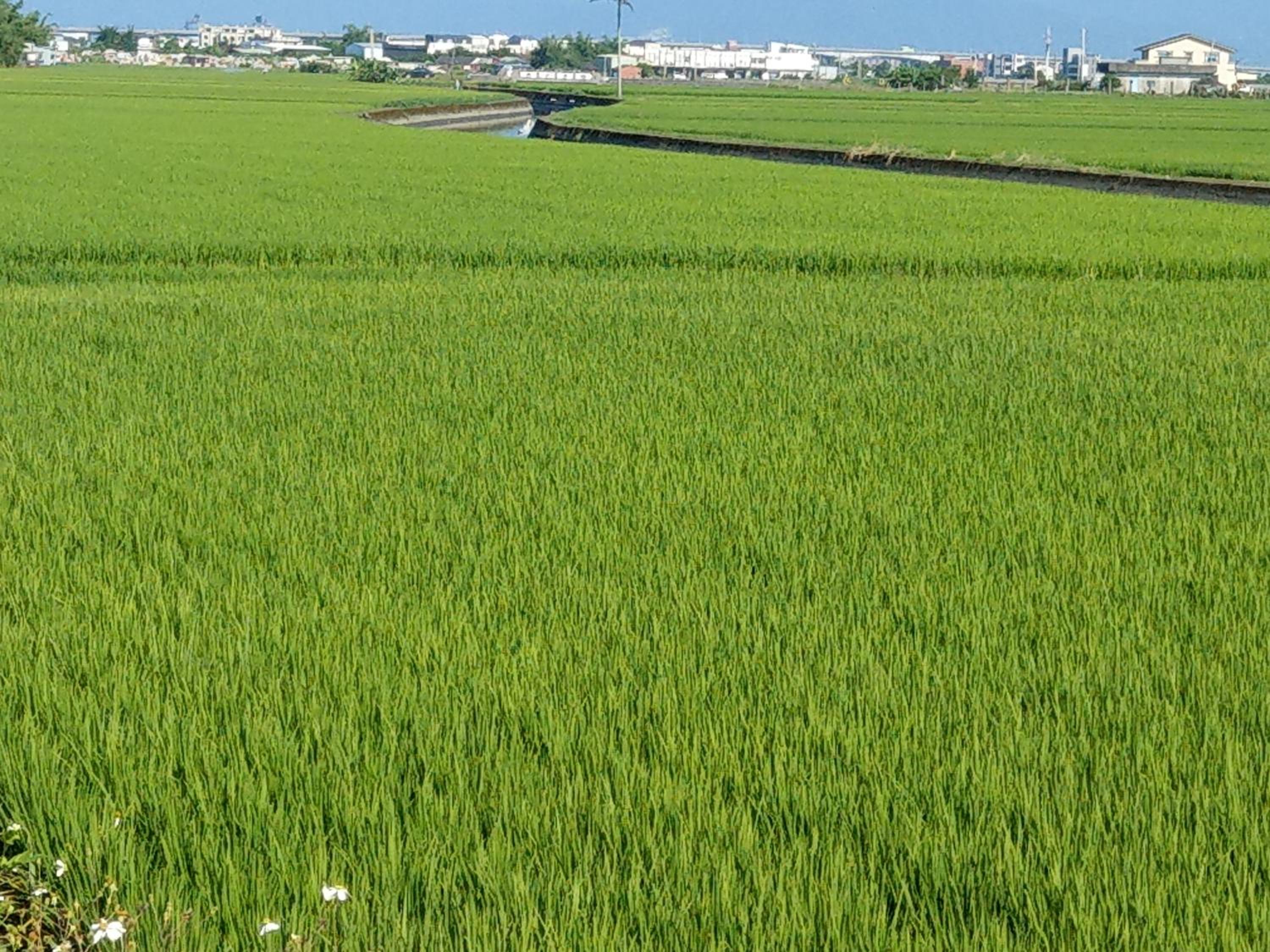 Shui Lian Tian Villa