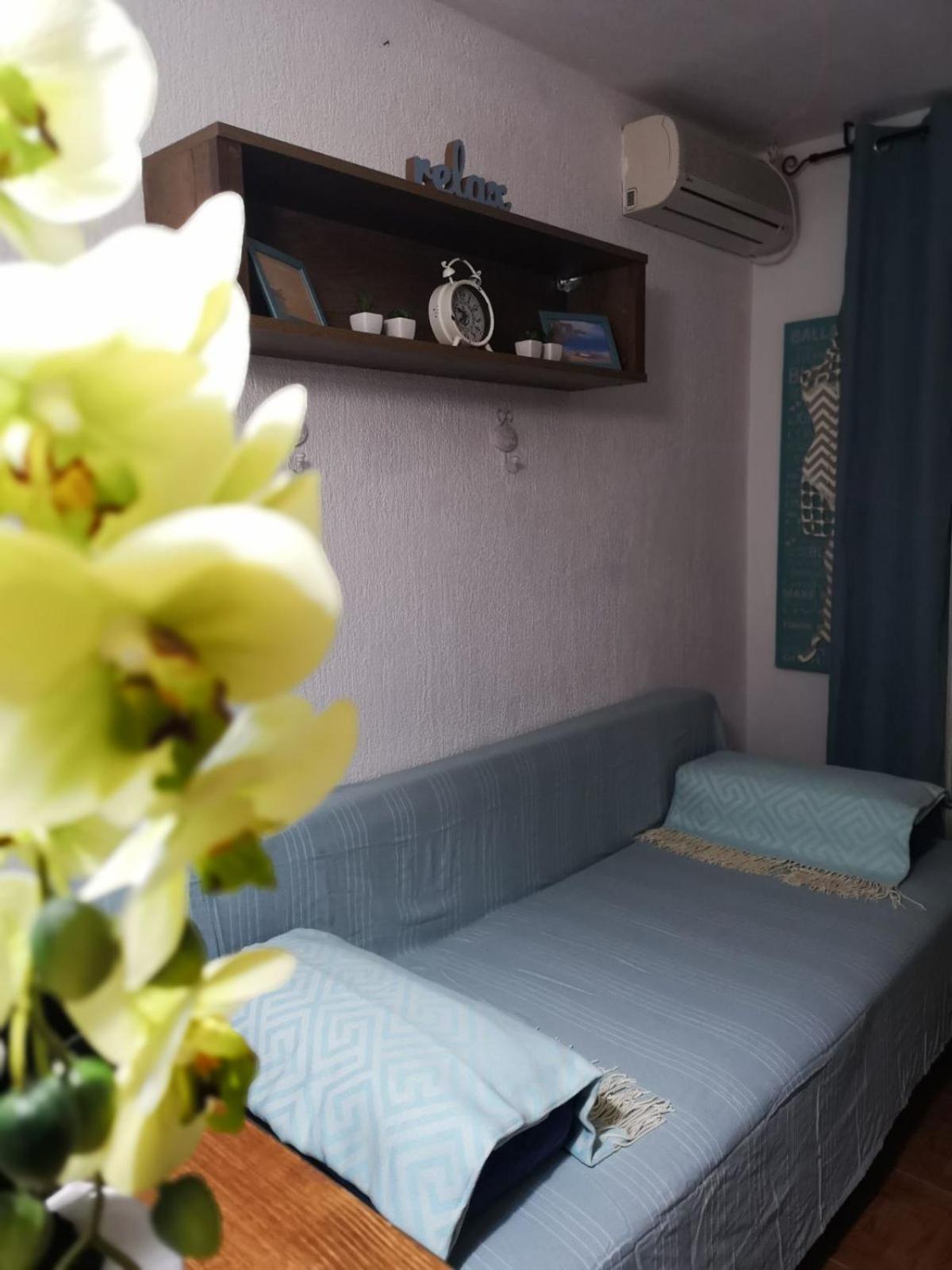 Apartmani Šarm