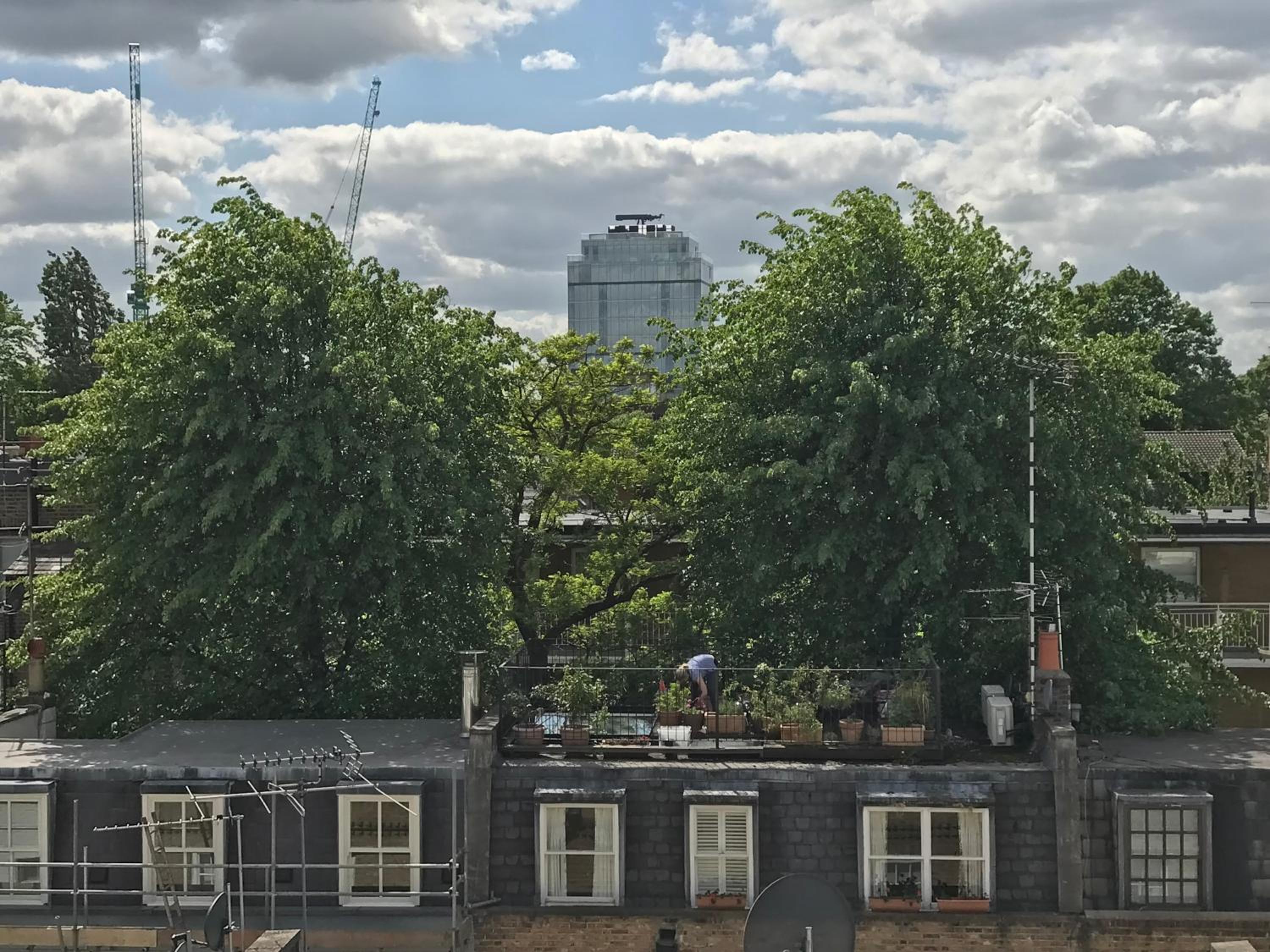 roof