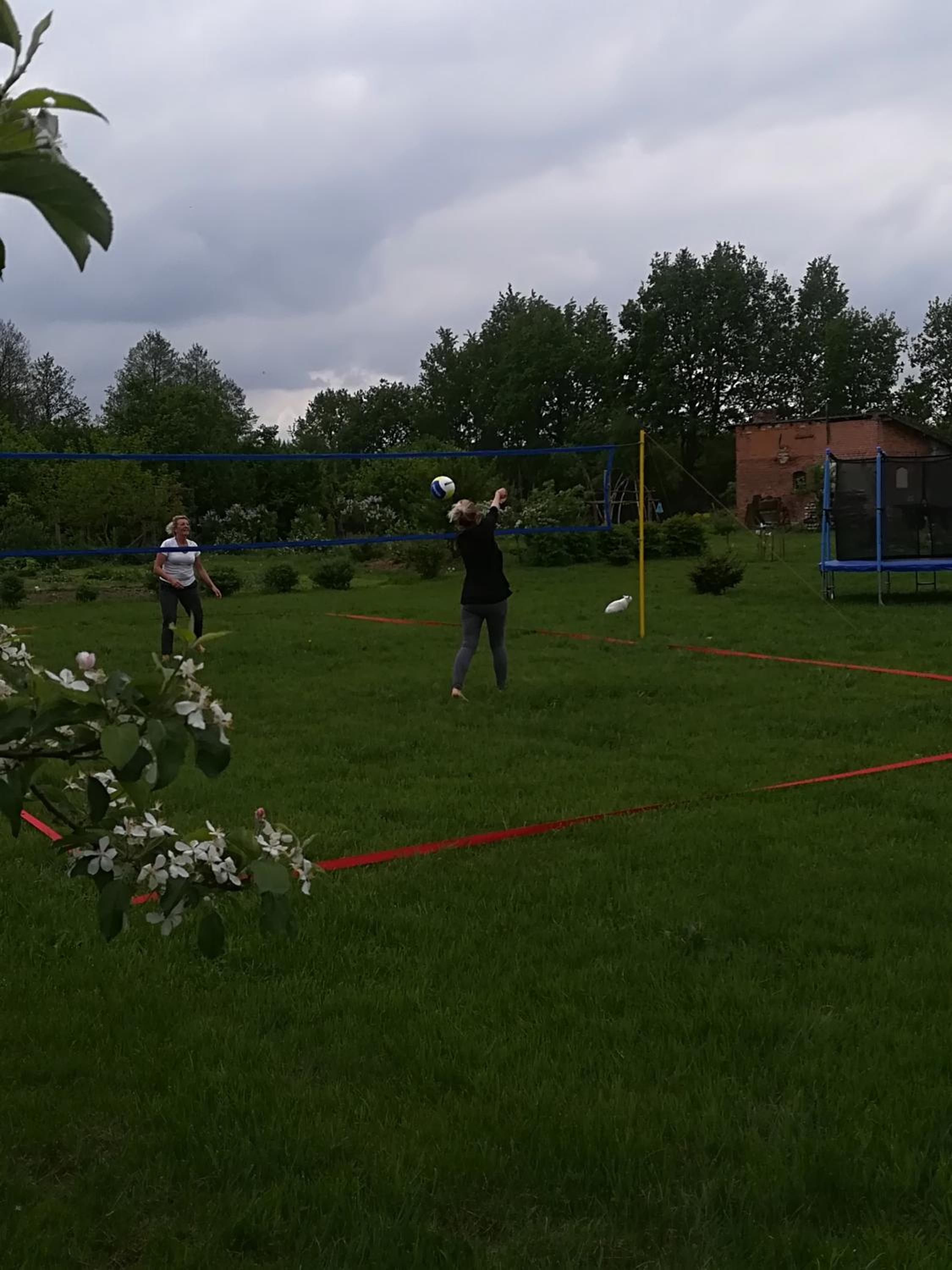 Photo 24