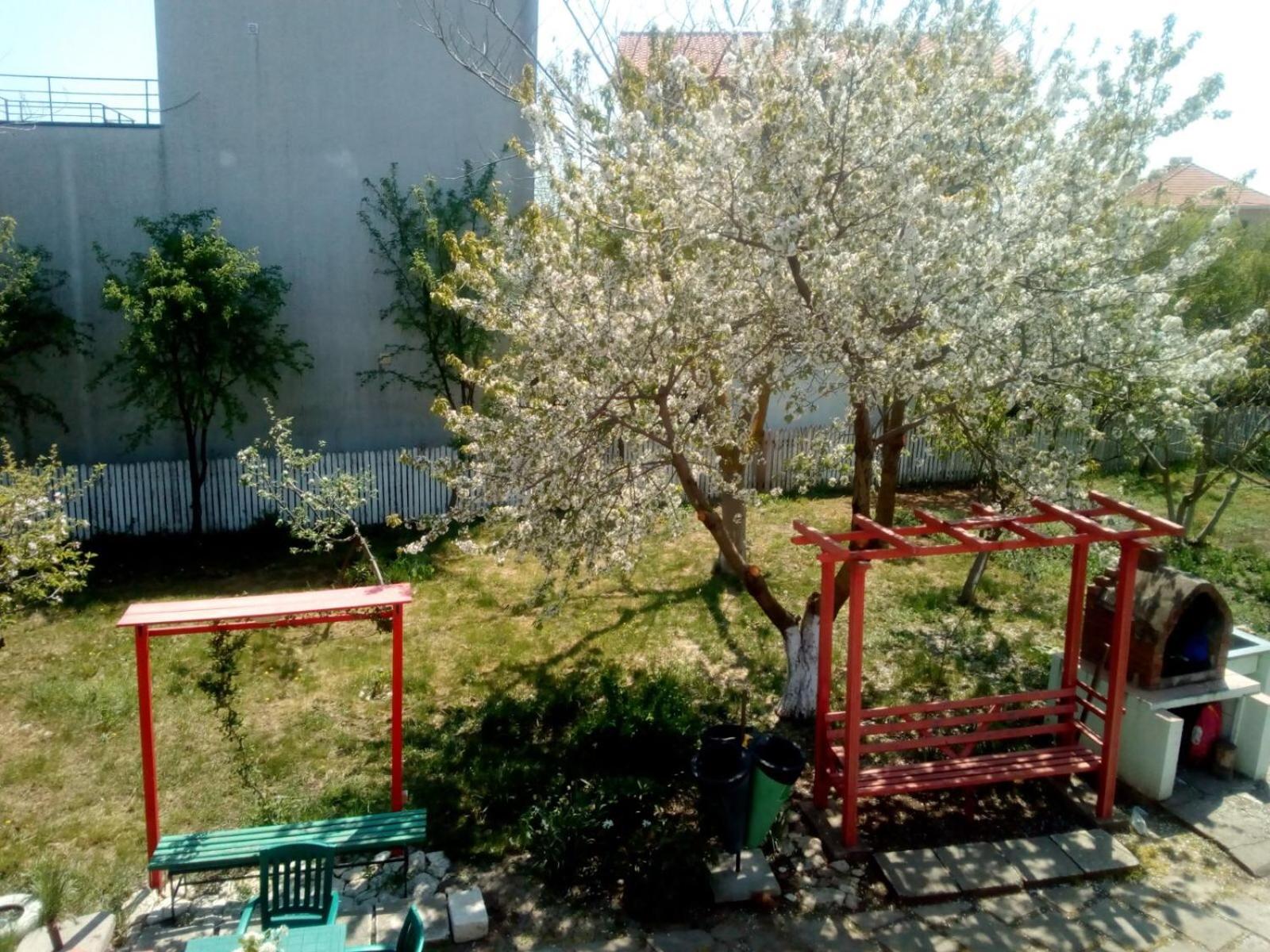 Photo 36