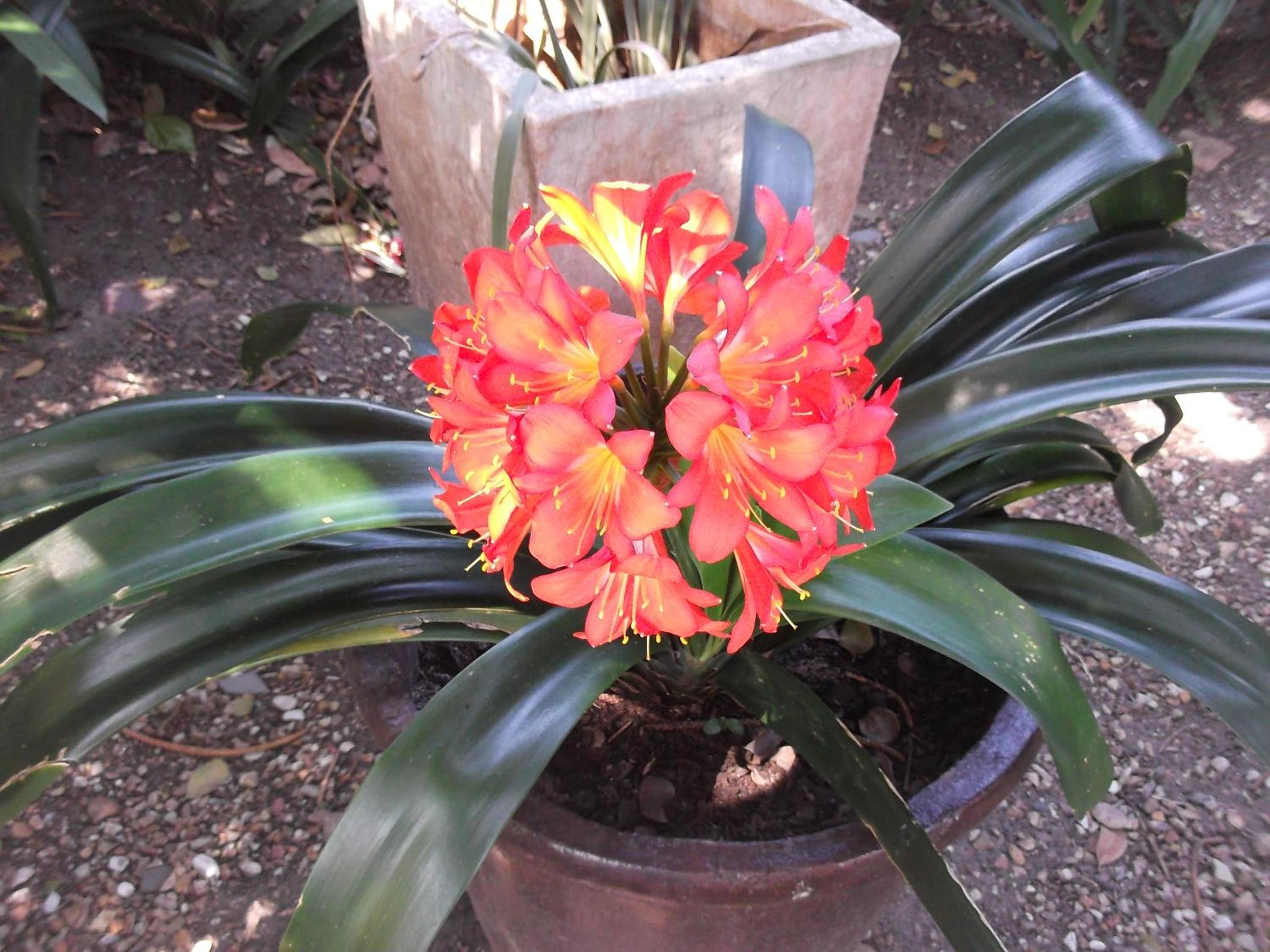 Photo 43