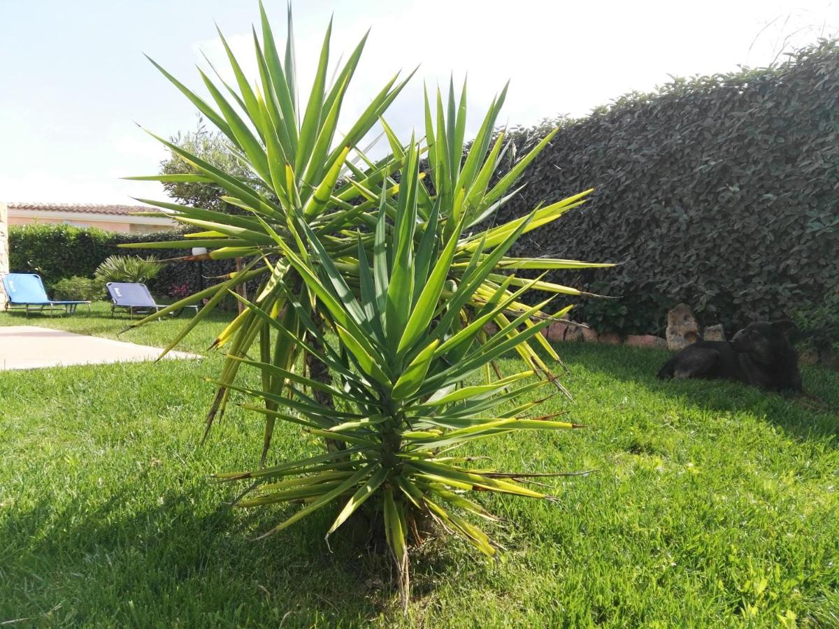 Photo 41