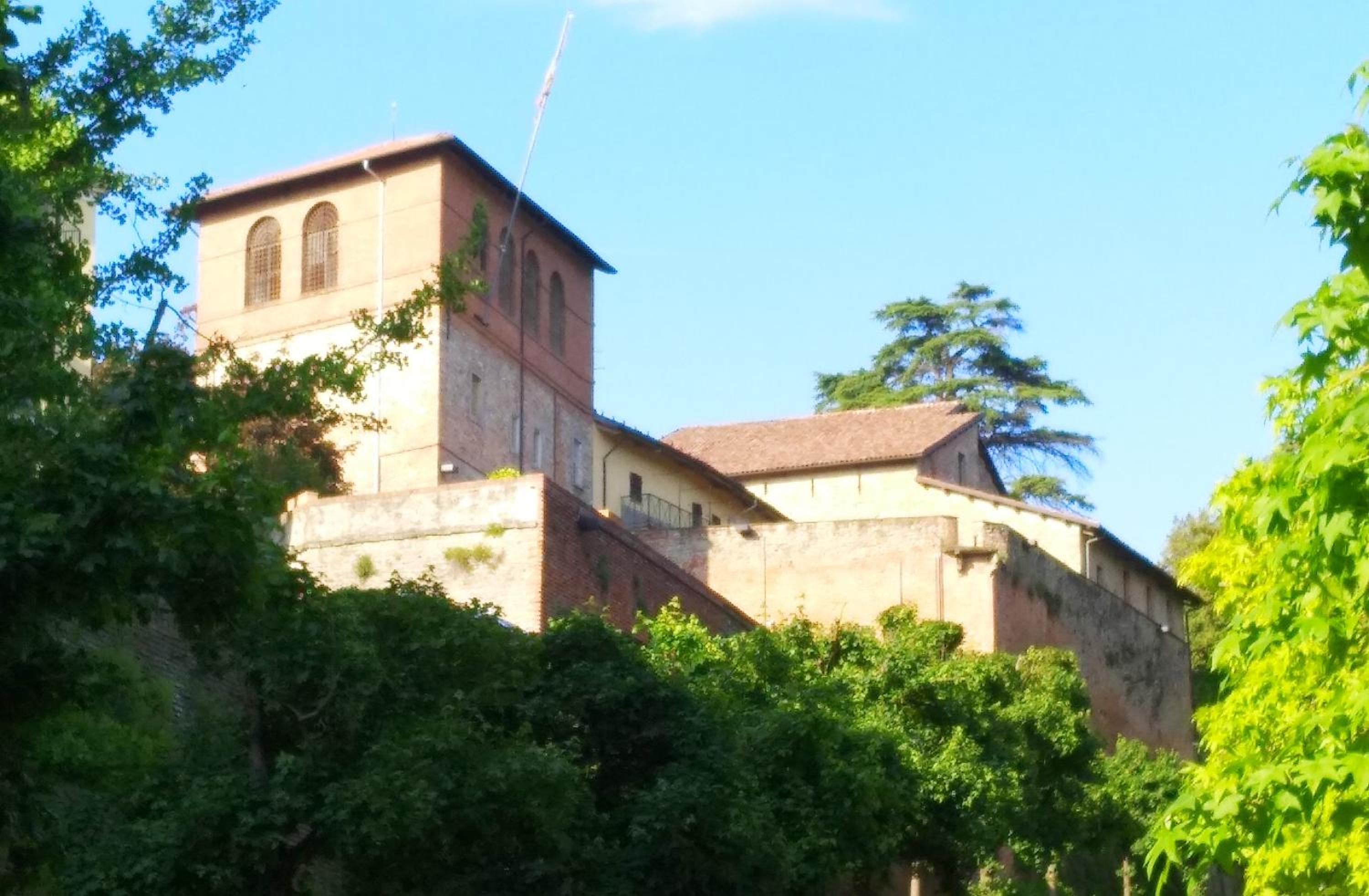 Photo 19