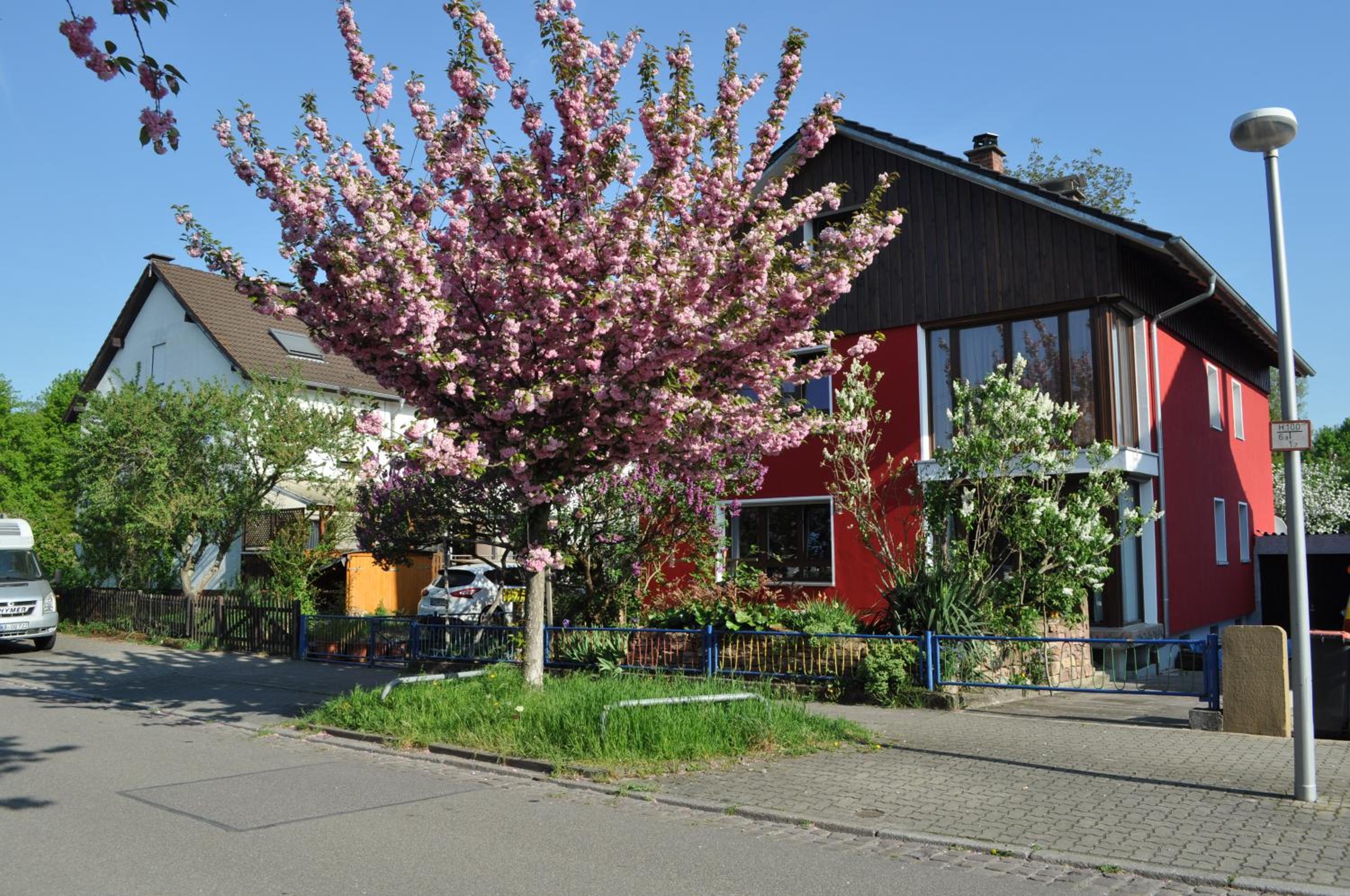 Punkrock Harbour Pension Bähr