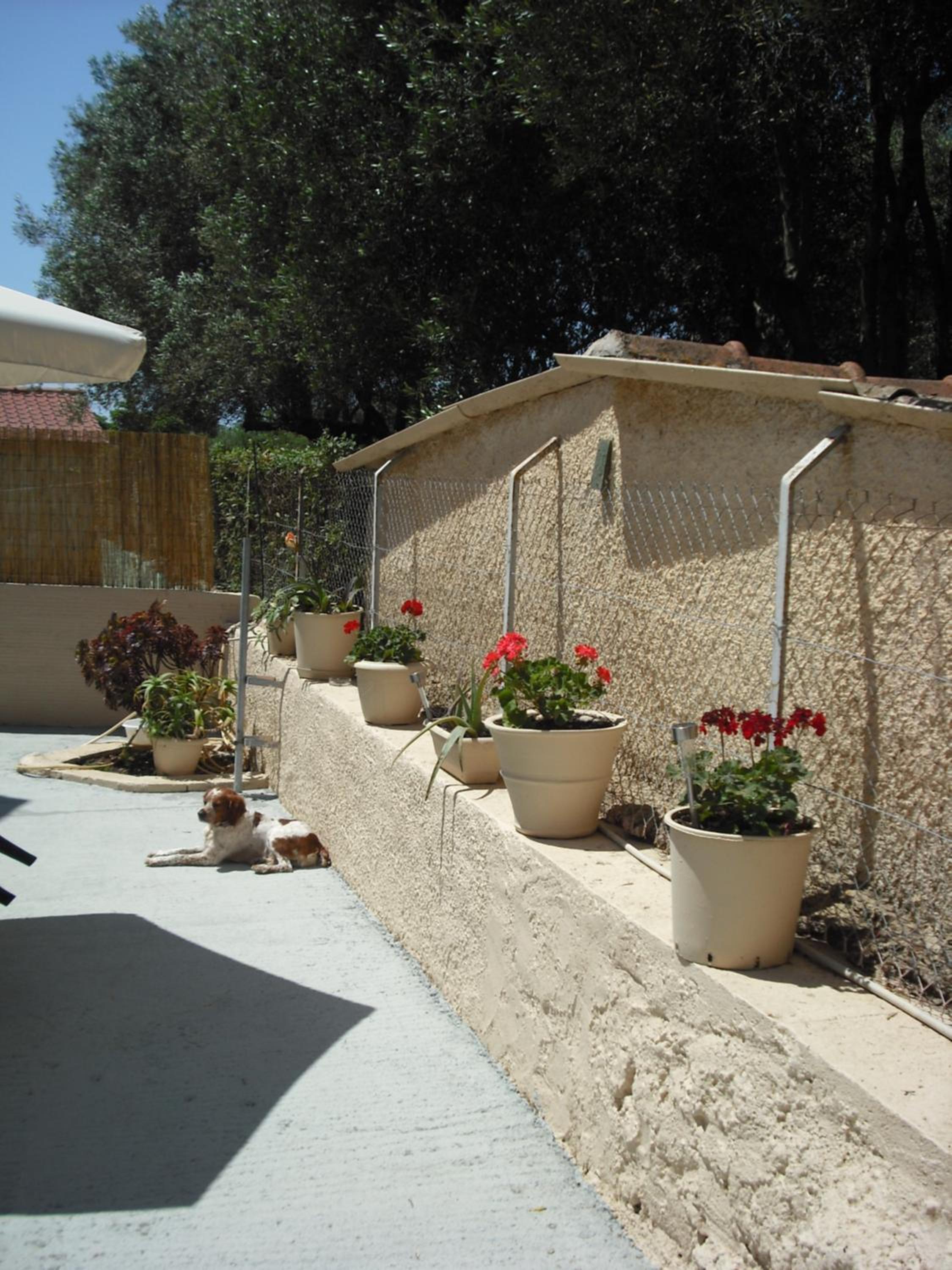 Photo 27