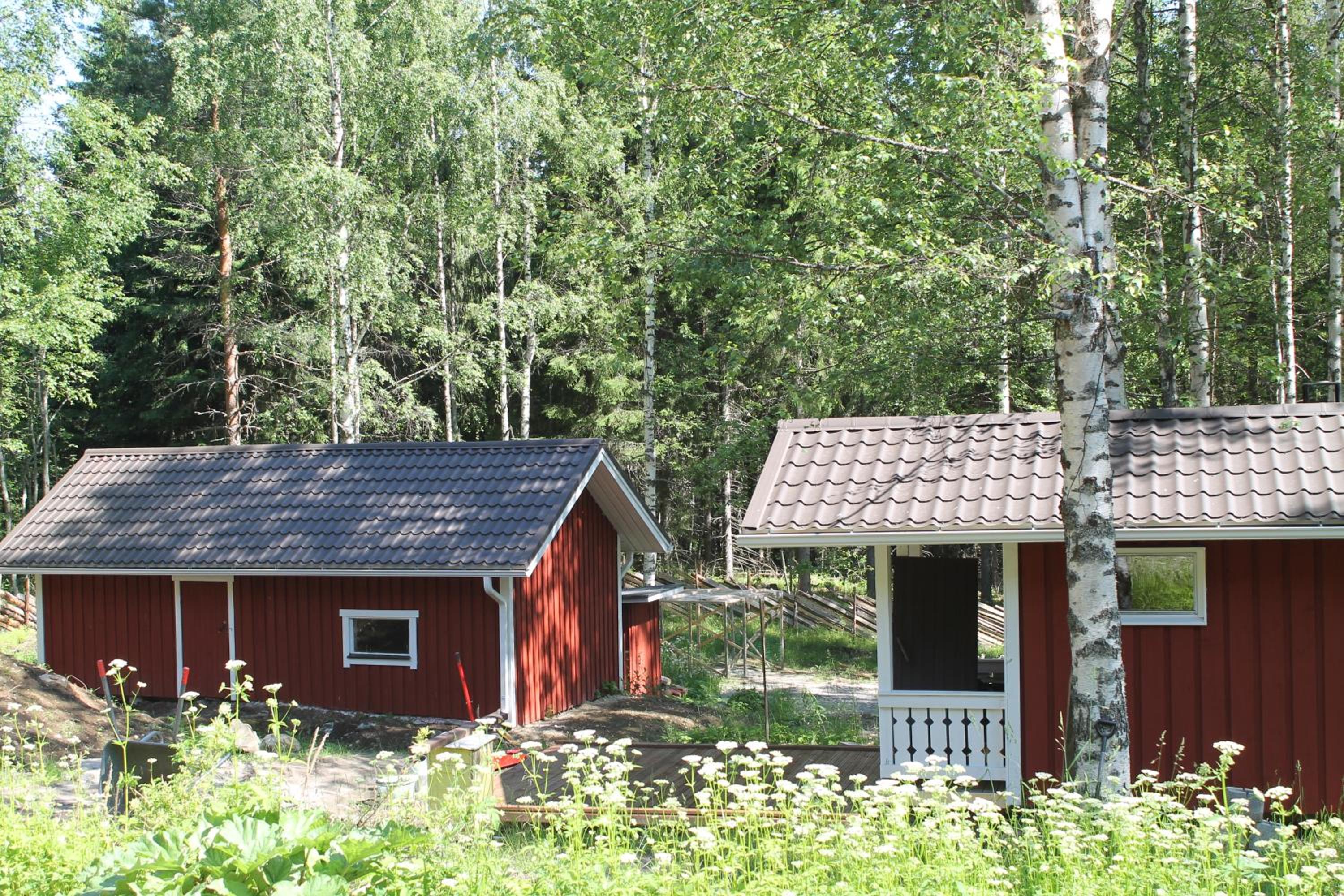 Photo 6