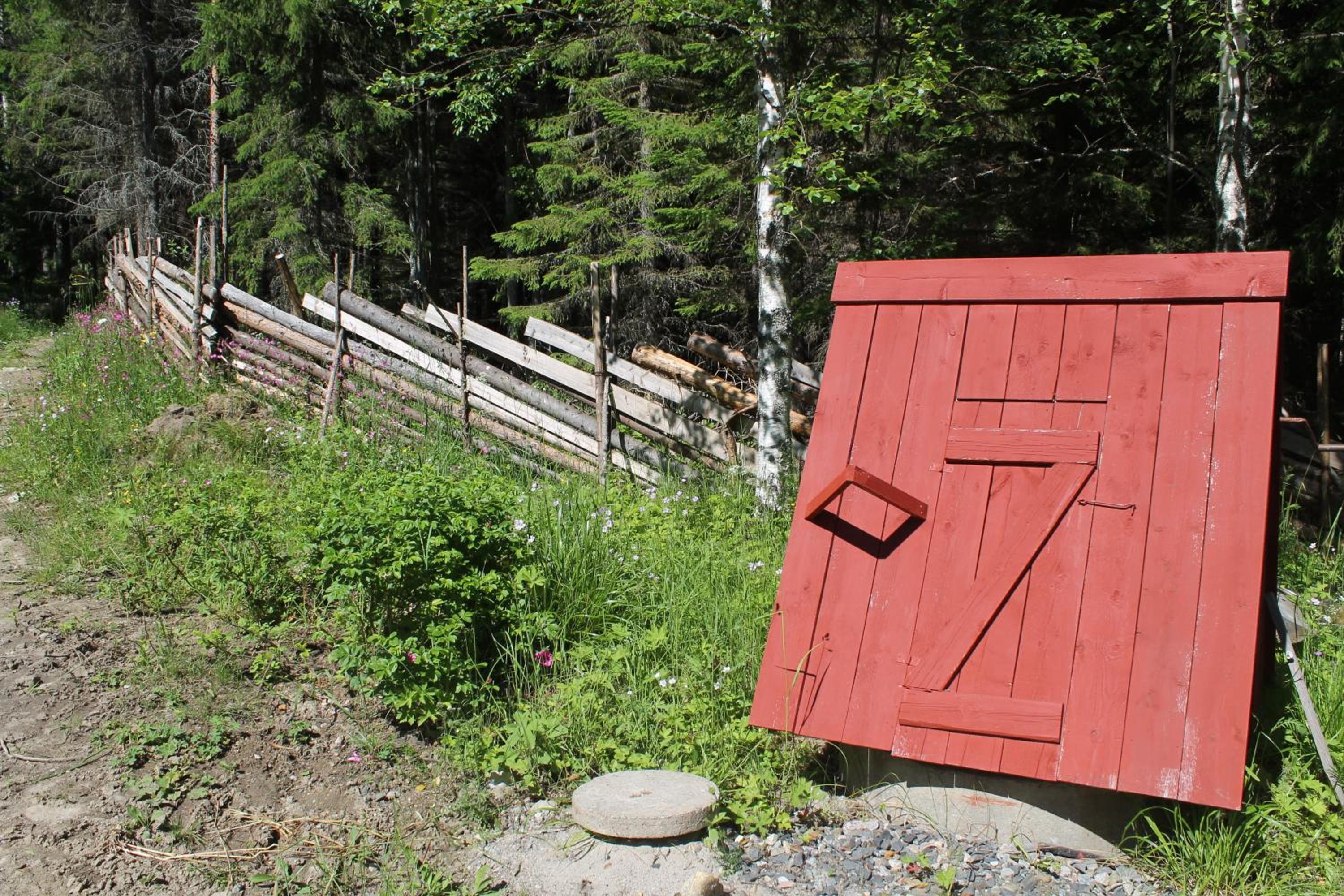 Photo 19
