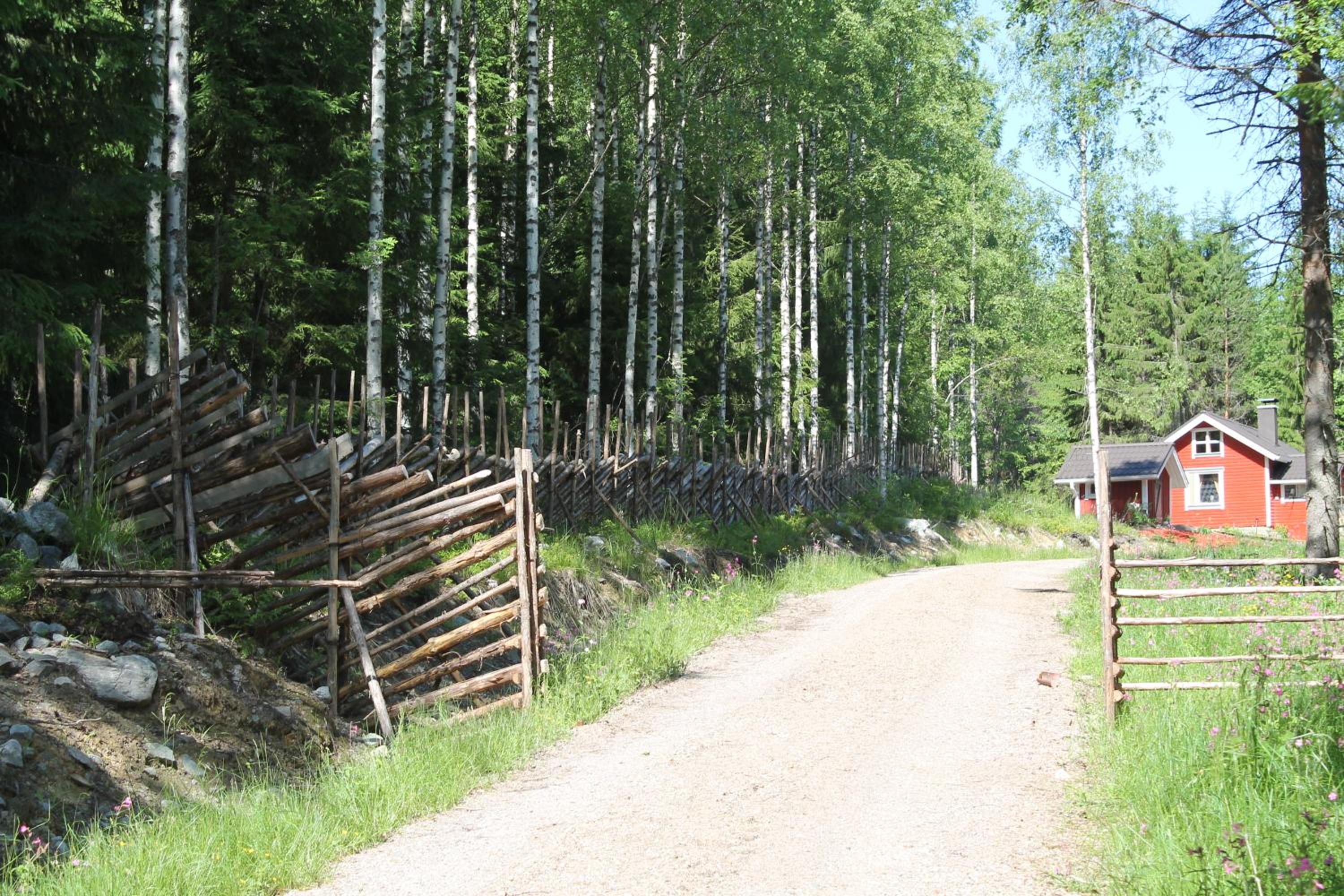 Metsäpirtti view 3
