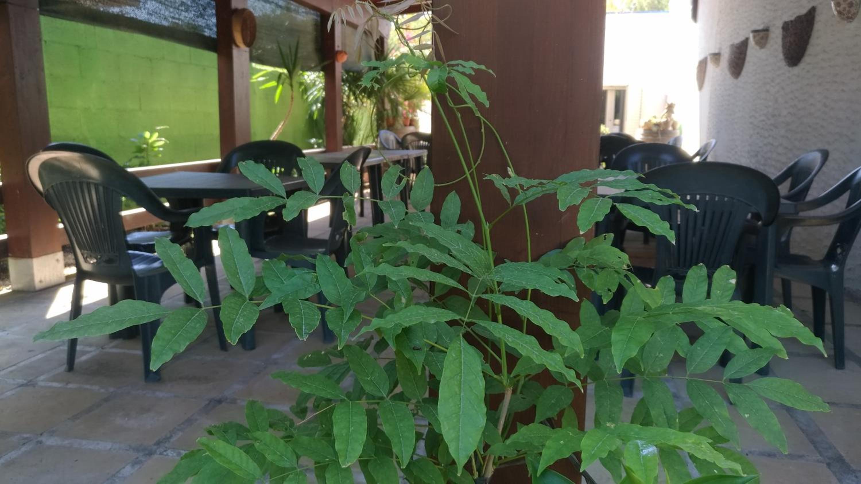 Agriturismo Palese