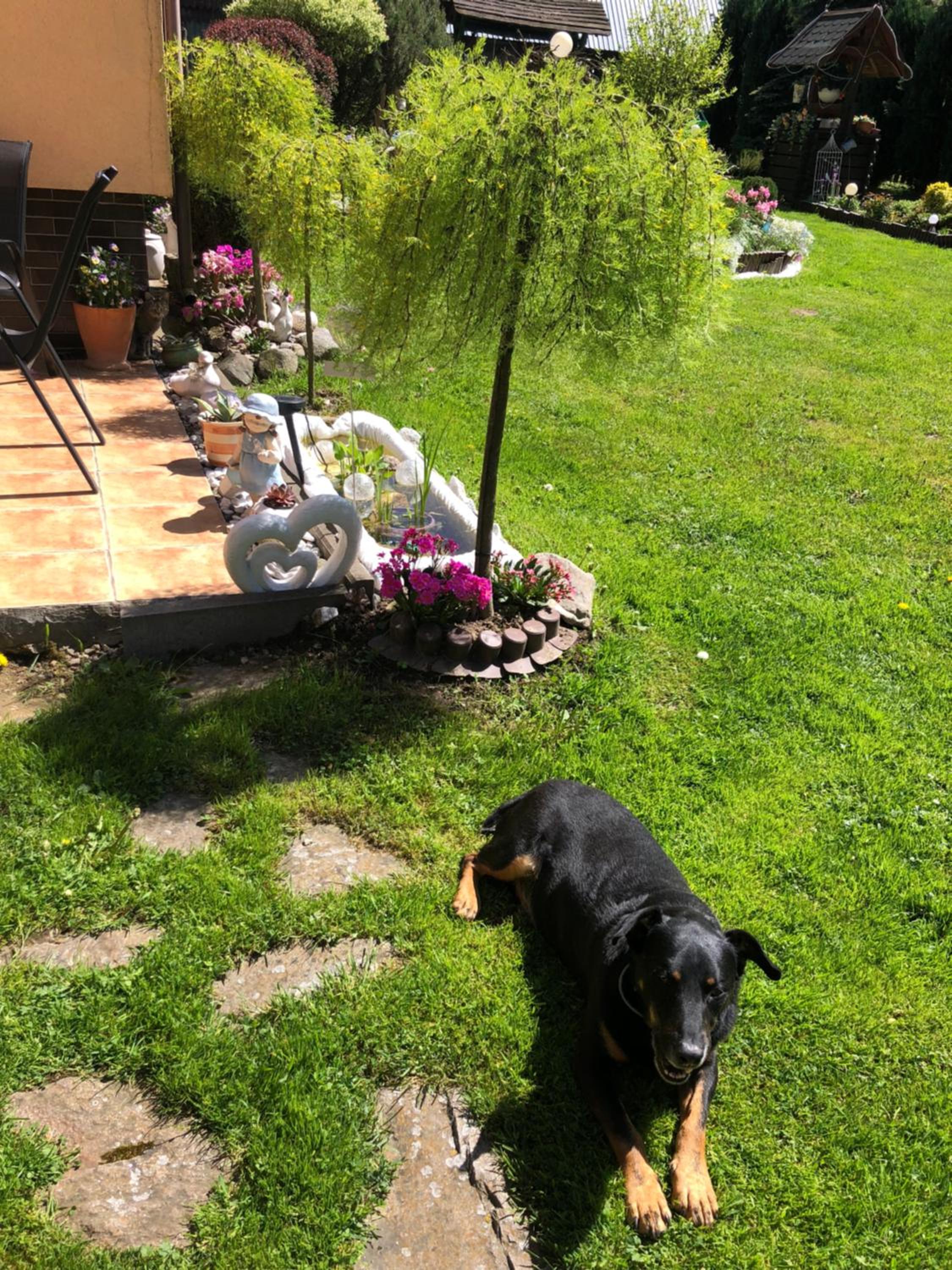 Photo 20