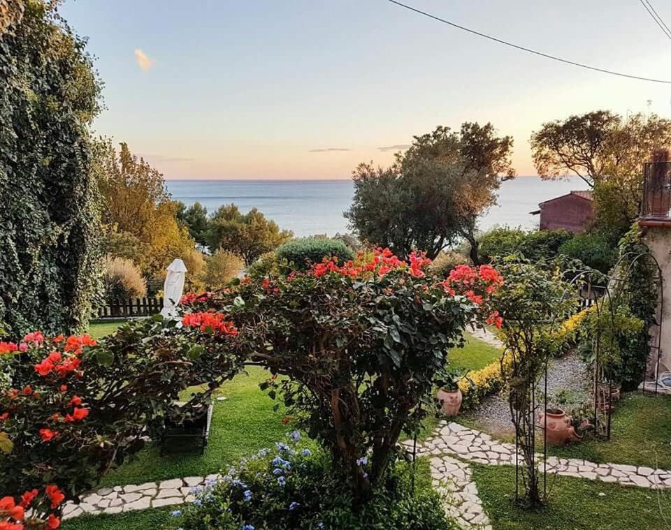 Bed and Breakfast Nefer view 3