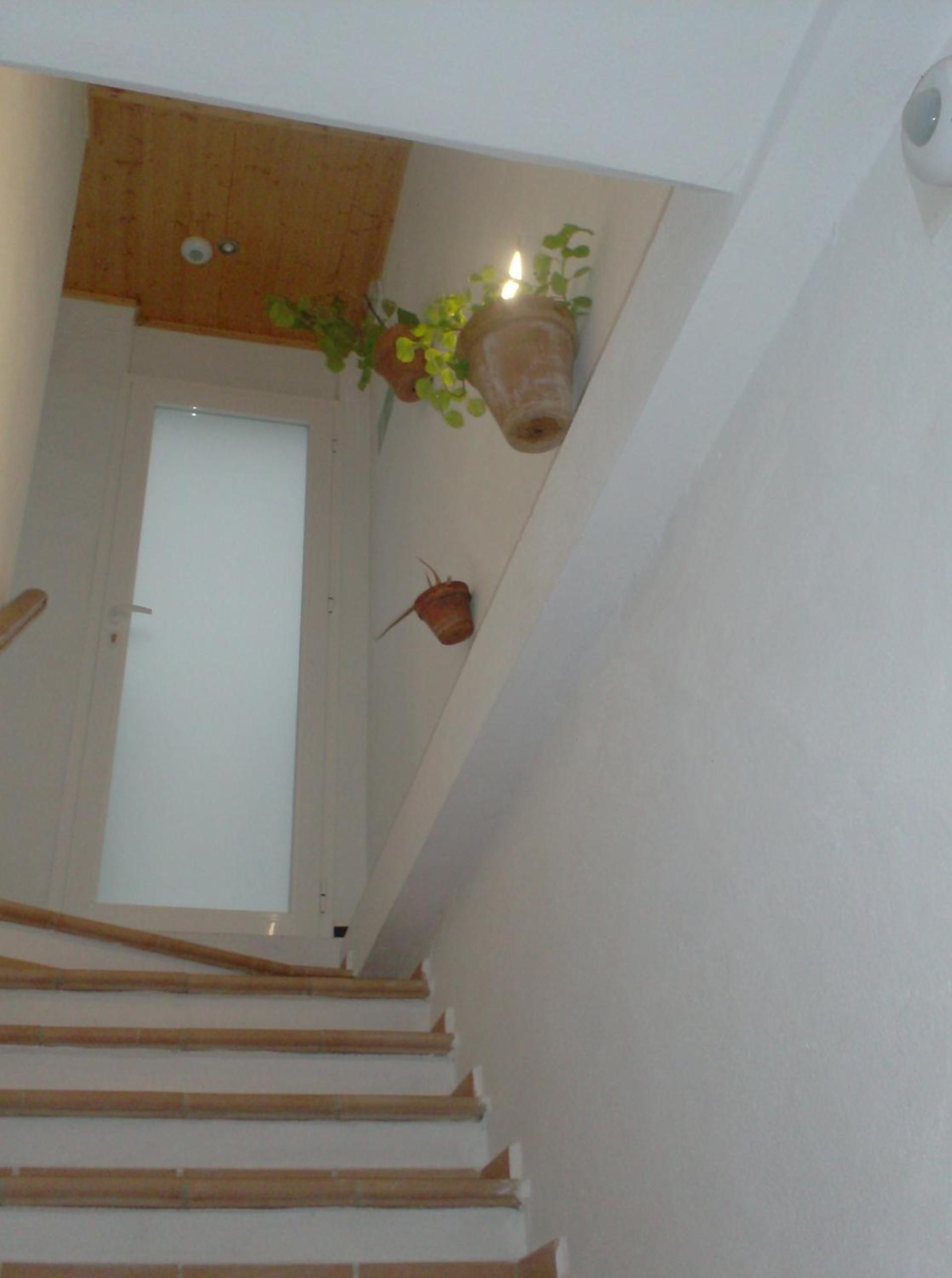 Rocio Rooms