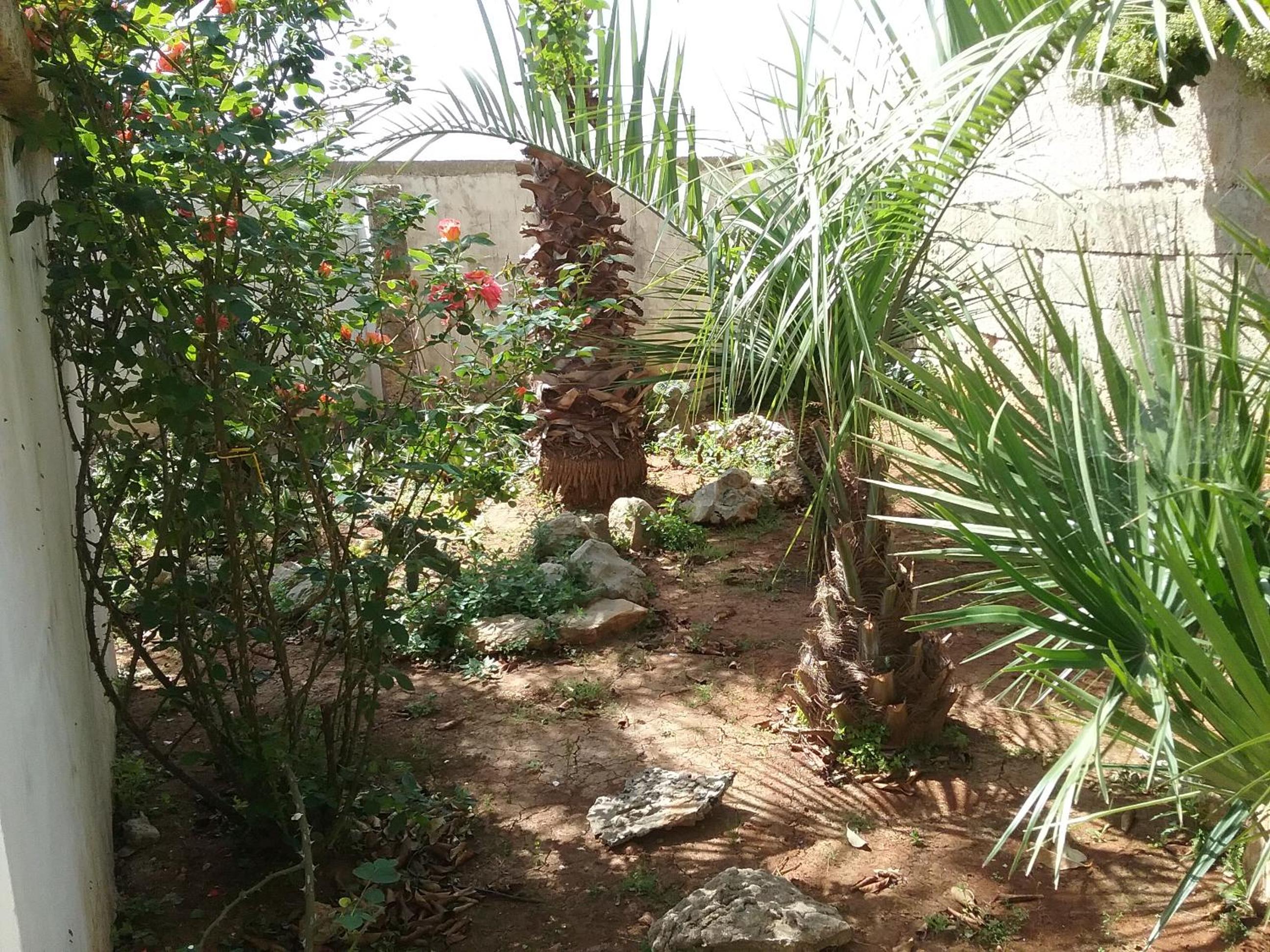 LI CURTI B&B, photo 22