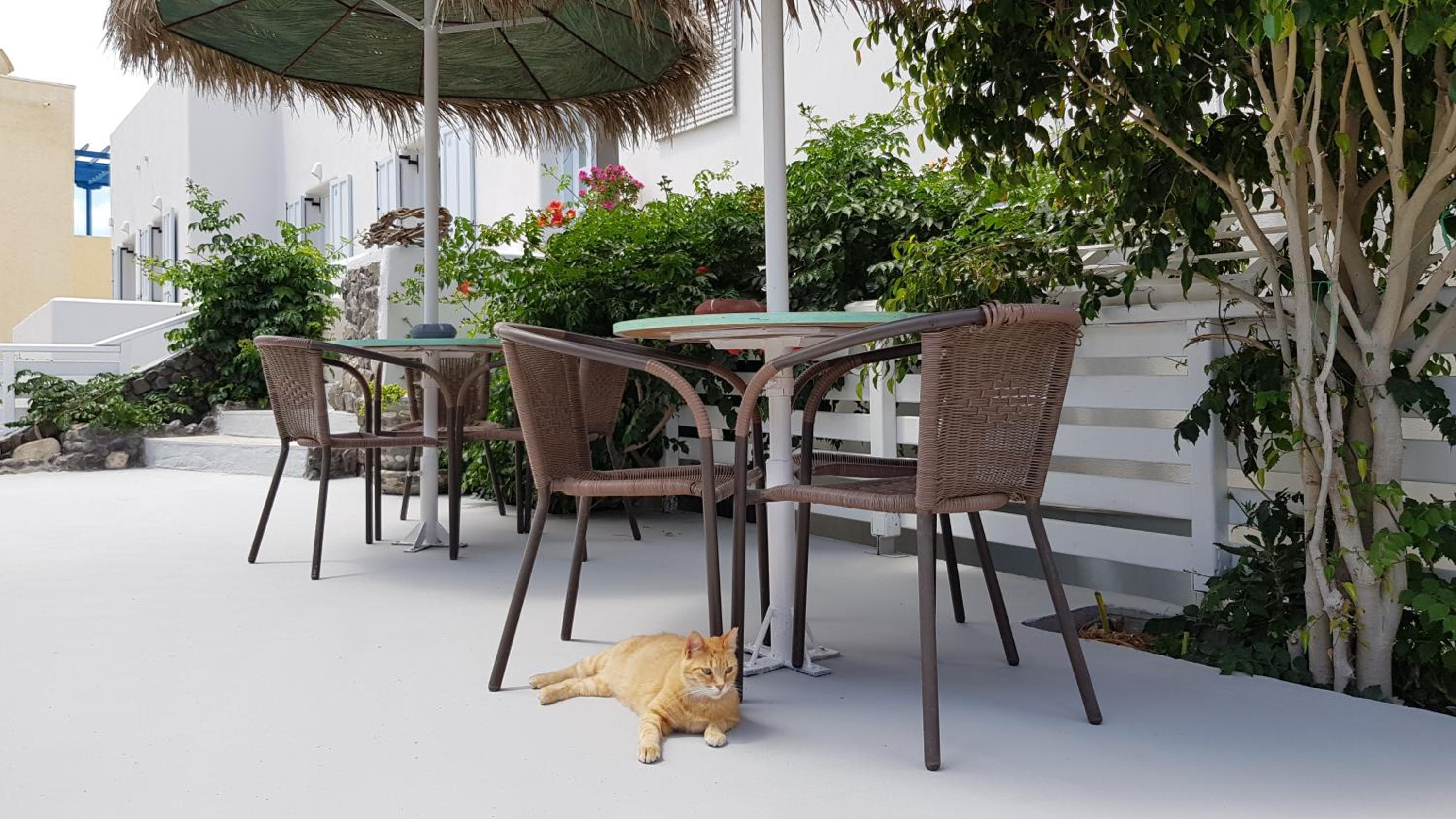 Kamarela Studios photo 4