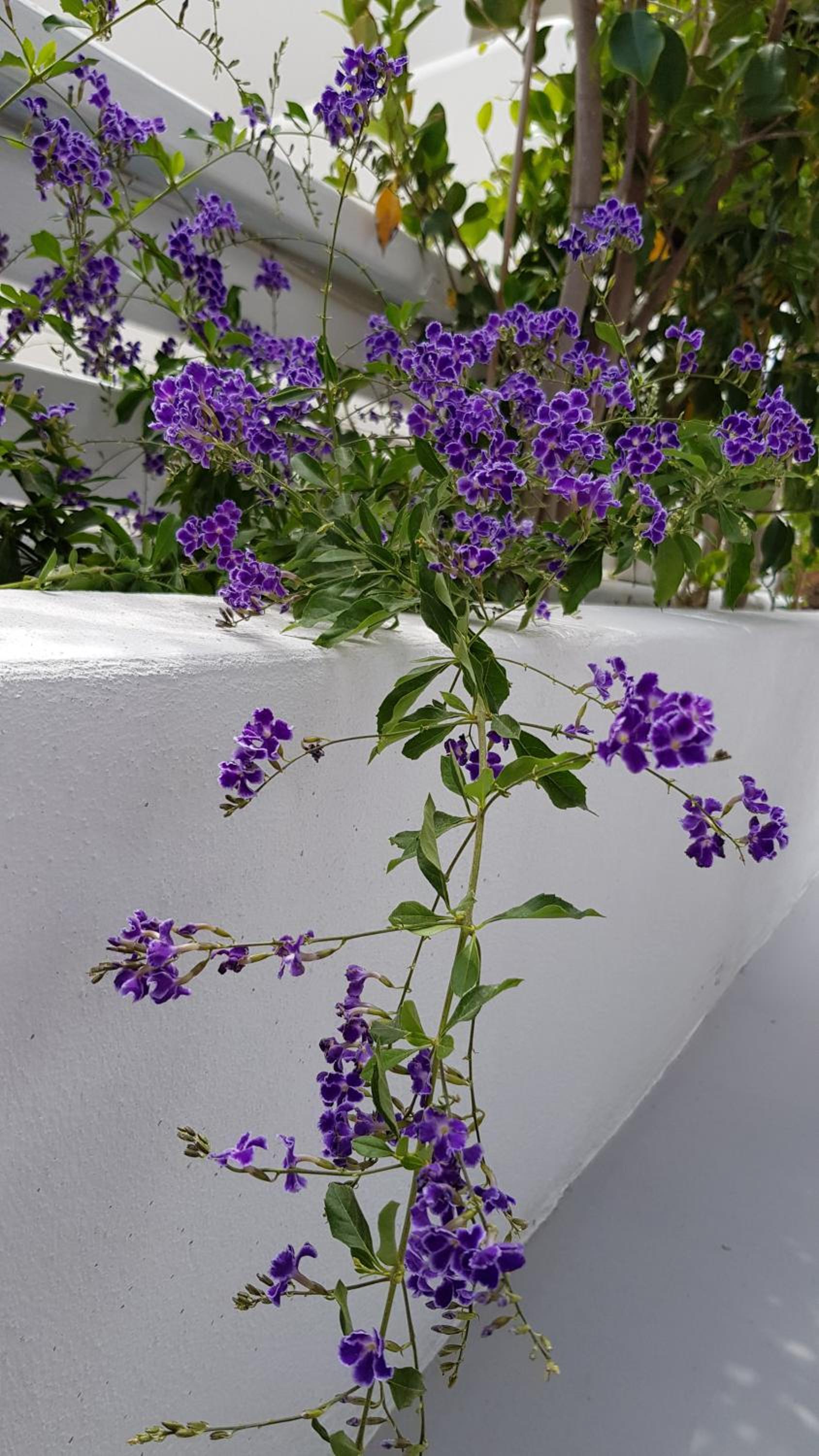 Kamarela Studios photo 3