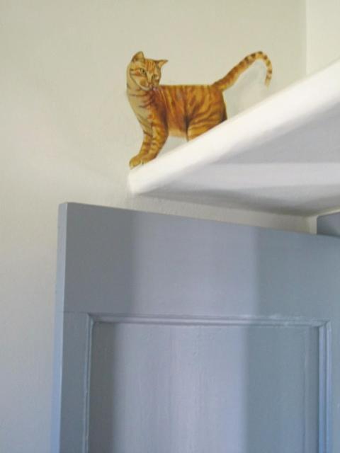 Photo 43