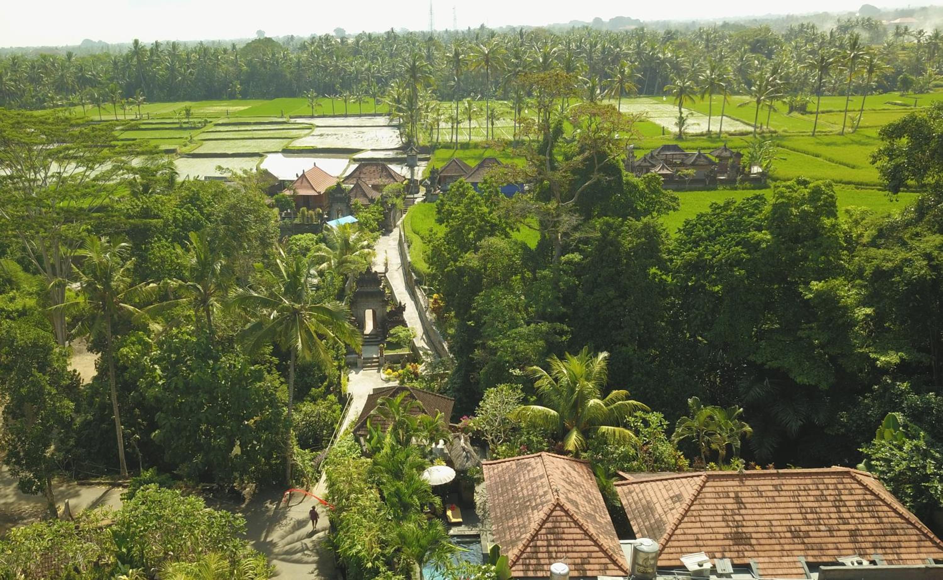 Photo 40