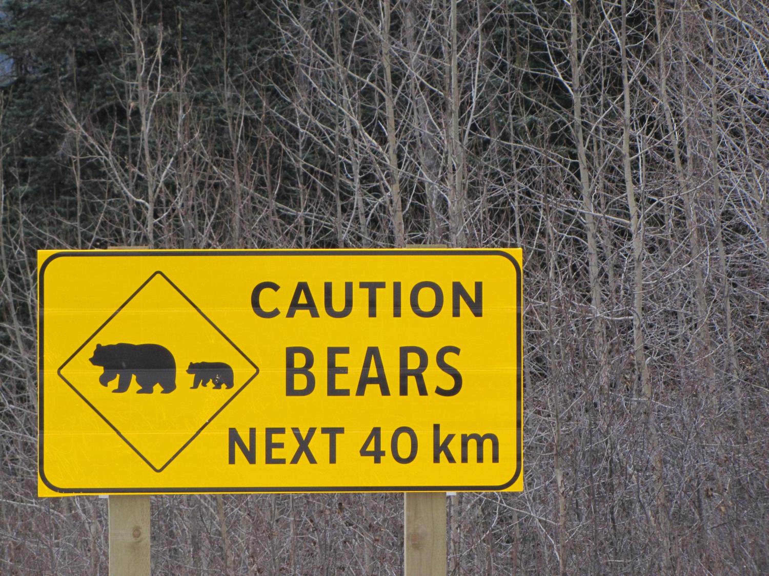 Bear Valley Guesthouse