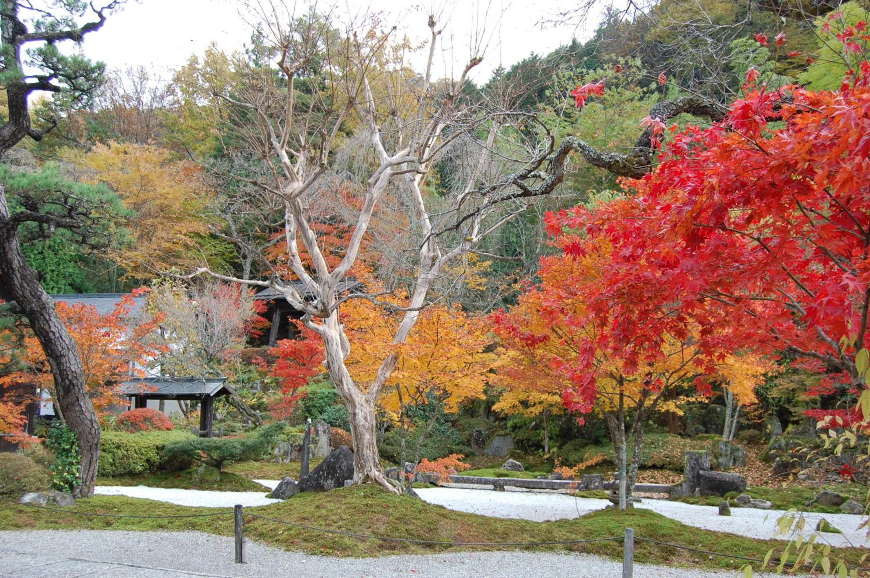 Onyado Tsutaya, Kiso - 24