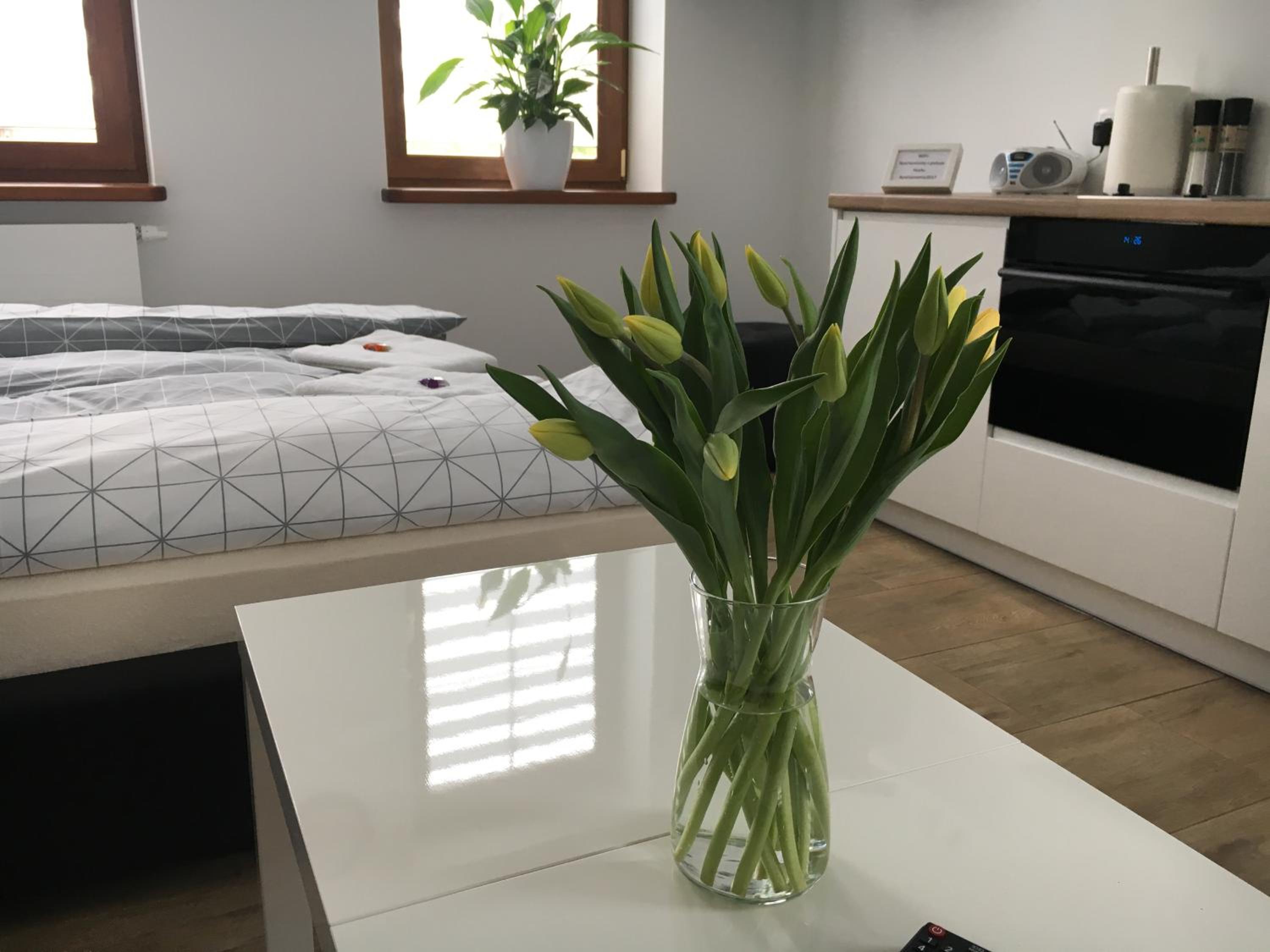 Apartamenty AP 1 view 2