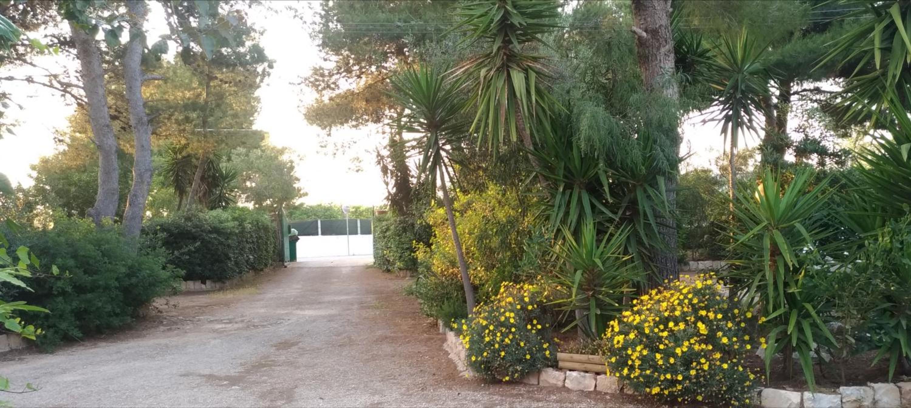 Agriturismo Palese