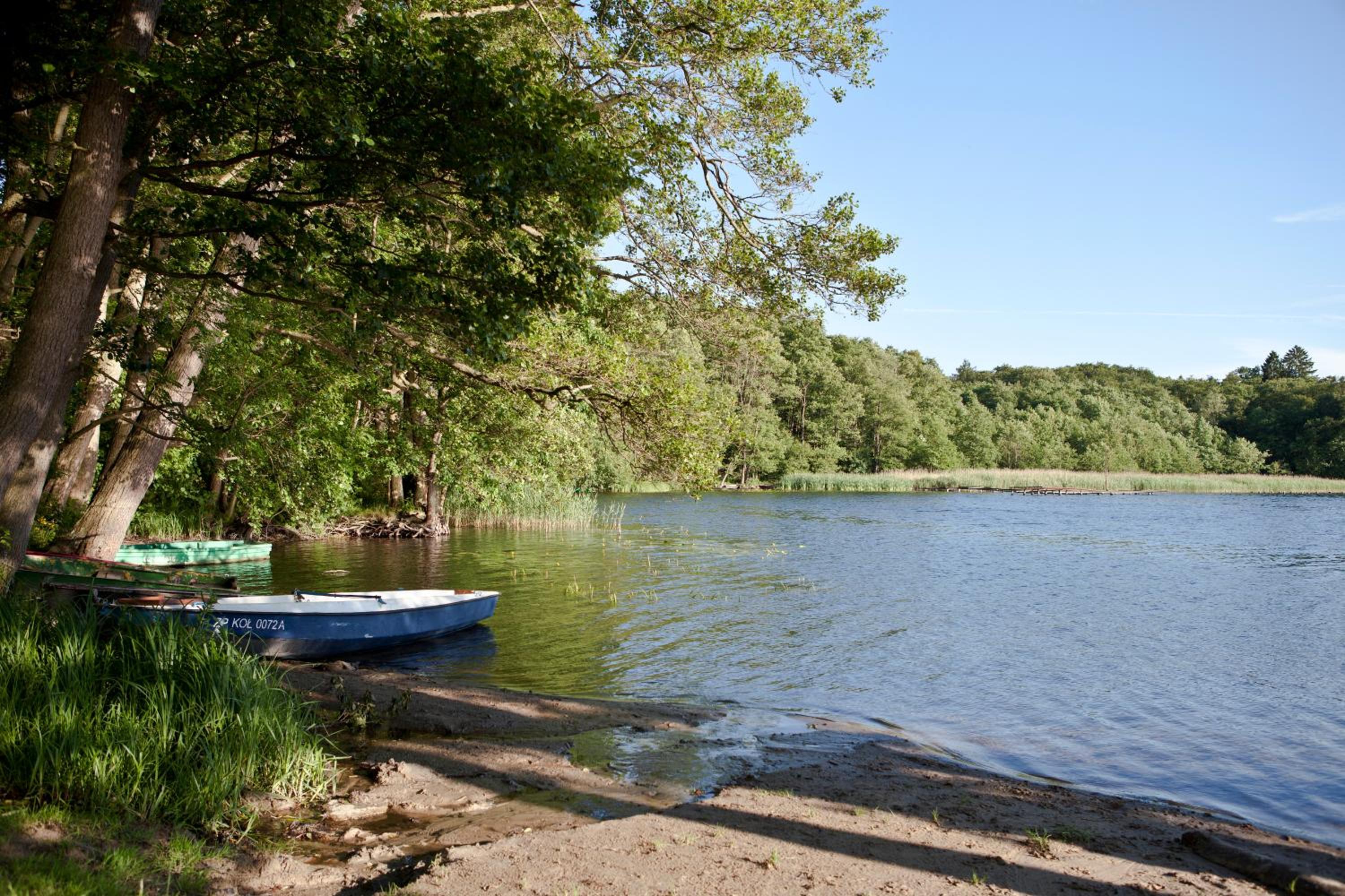 Photo 41