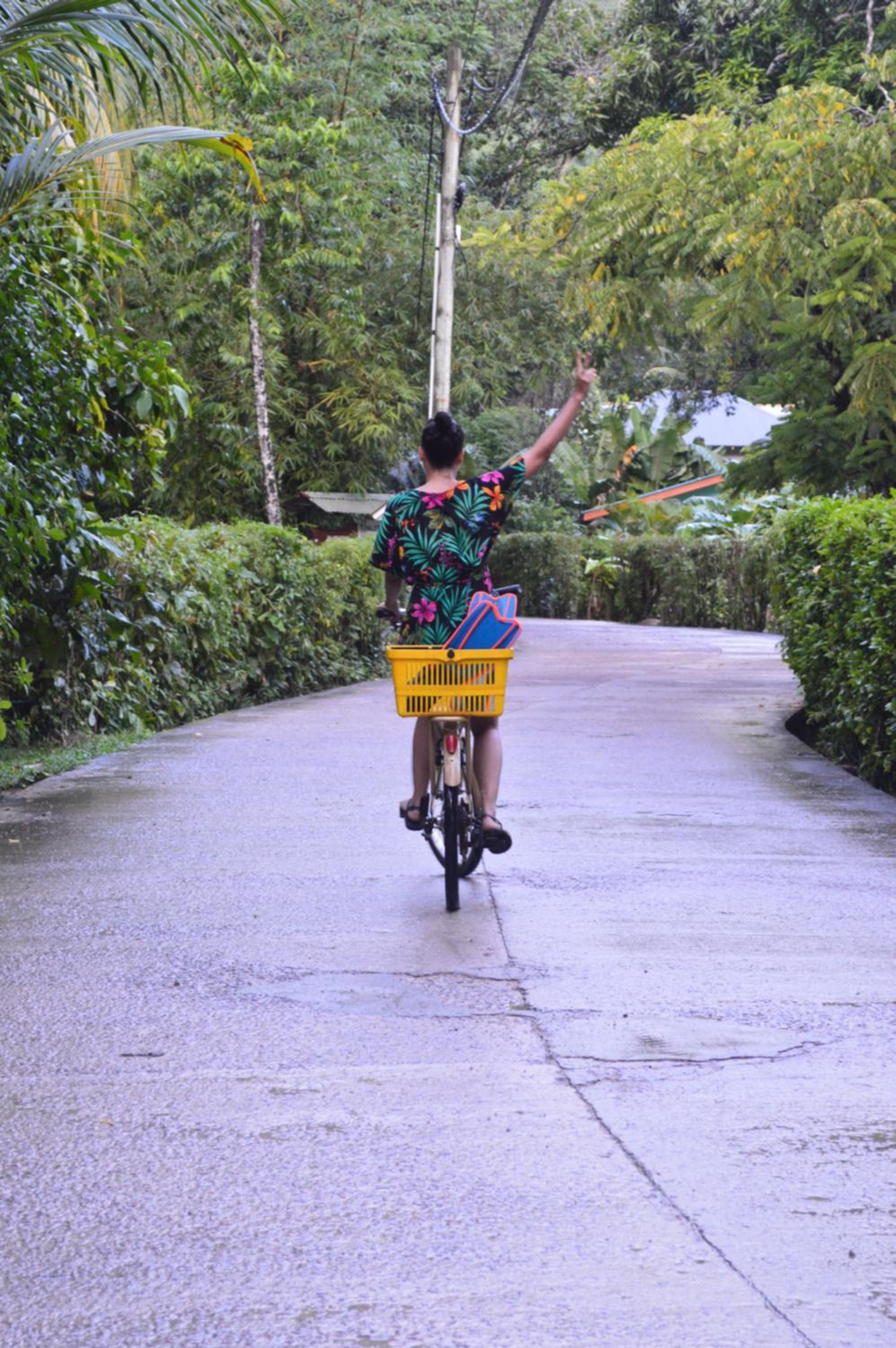 Chalet Bamboo Vert