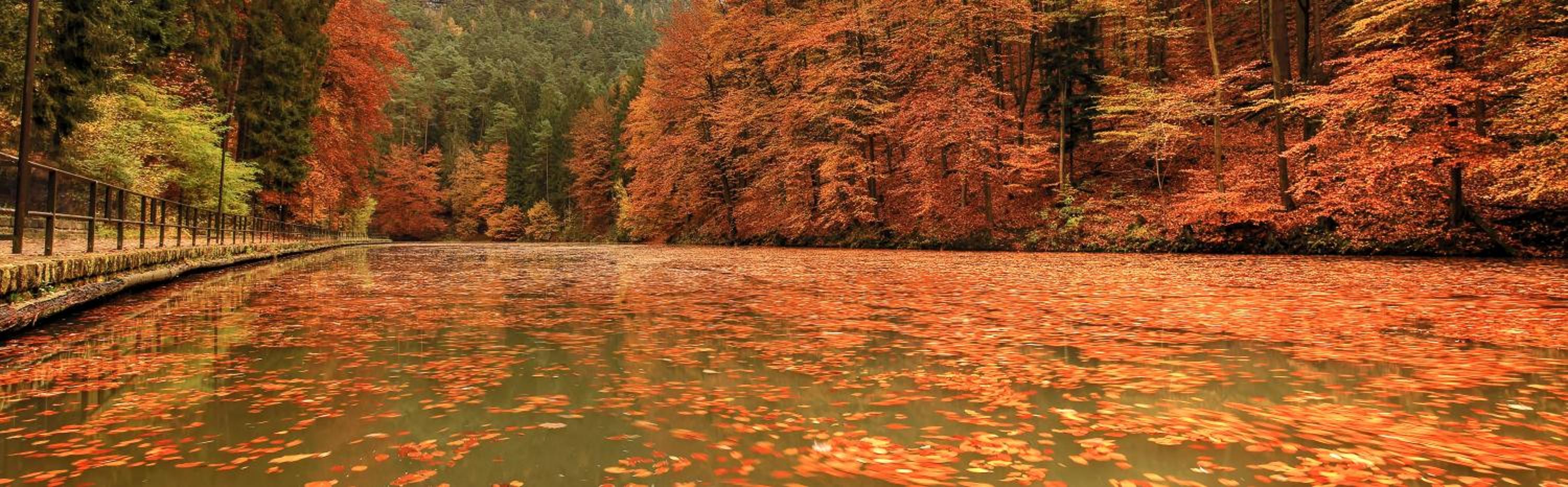 Waldidyll & Spa - Auszeit in der Sächsischen Schweiz view 2