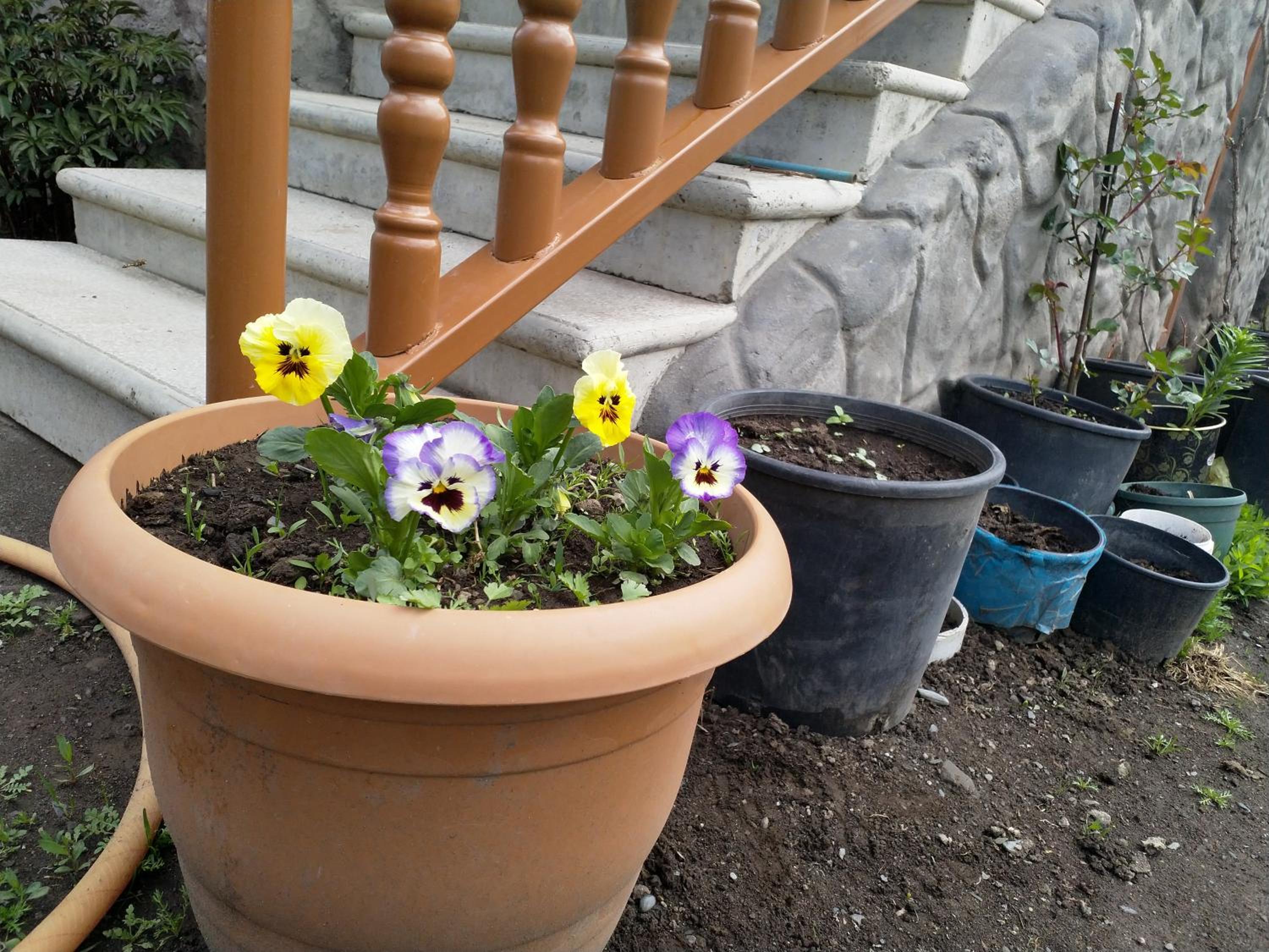 Photo 46