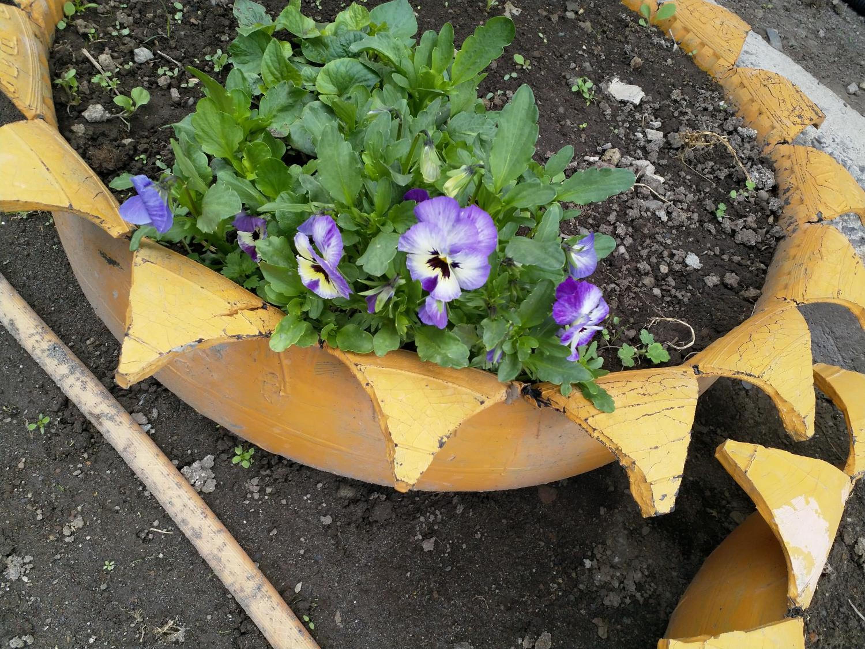 Photo 45