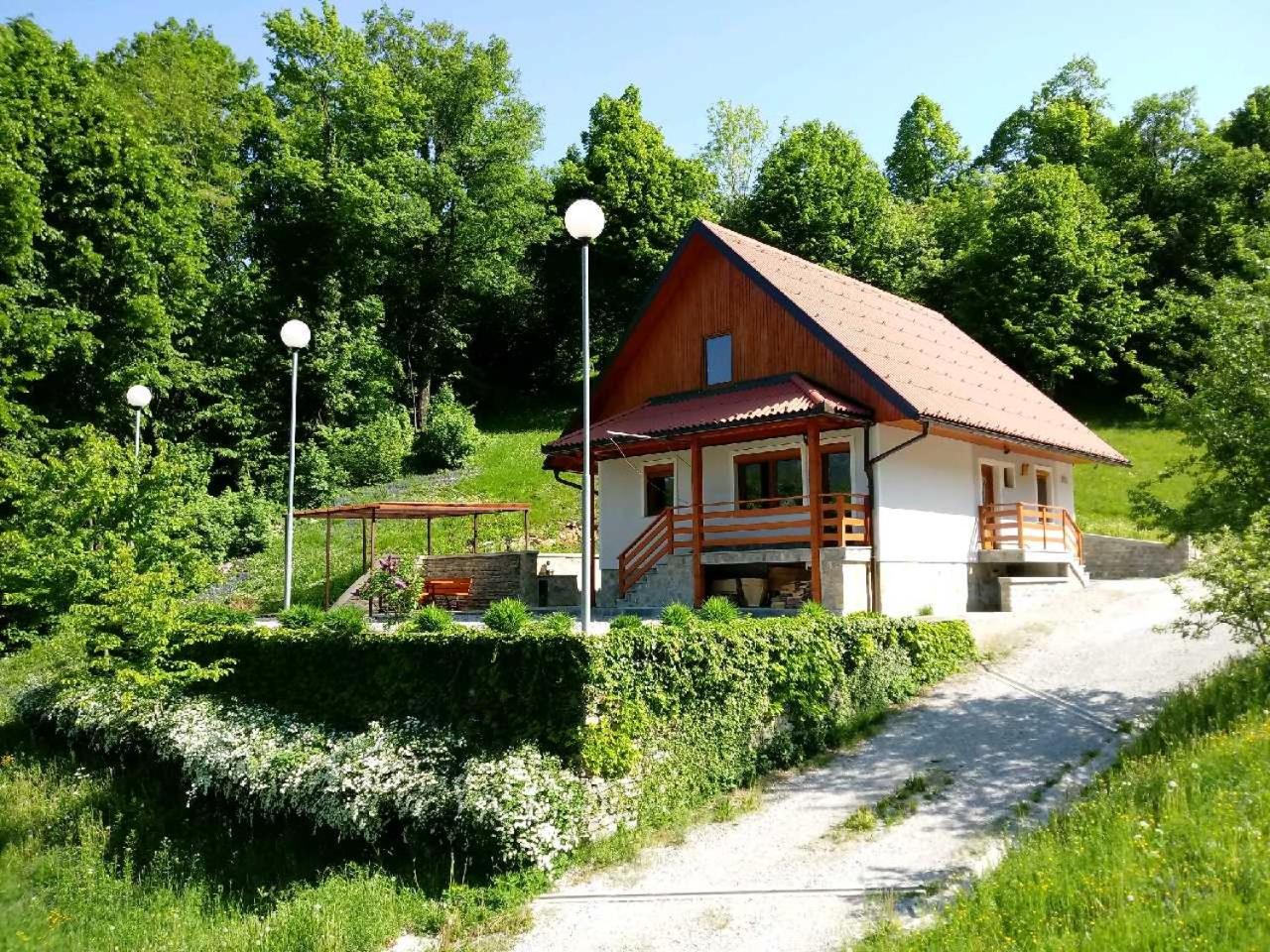 Photo 17